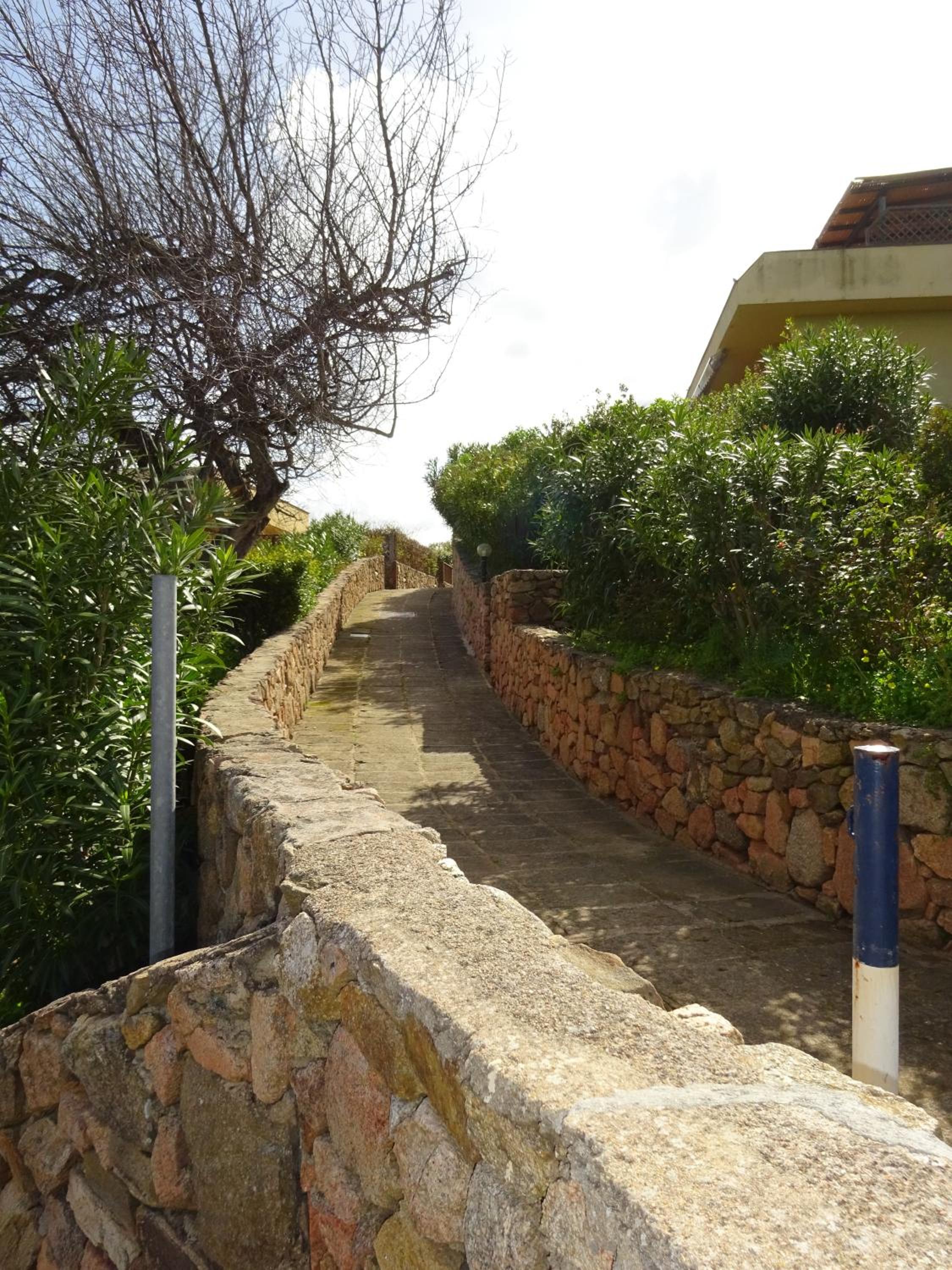 Photo 39