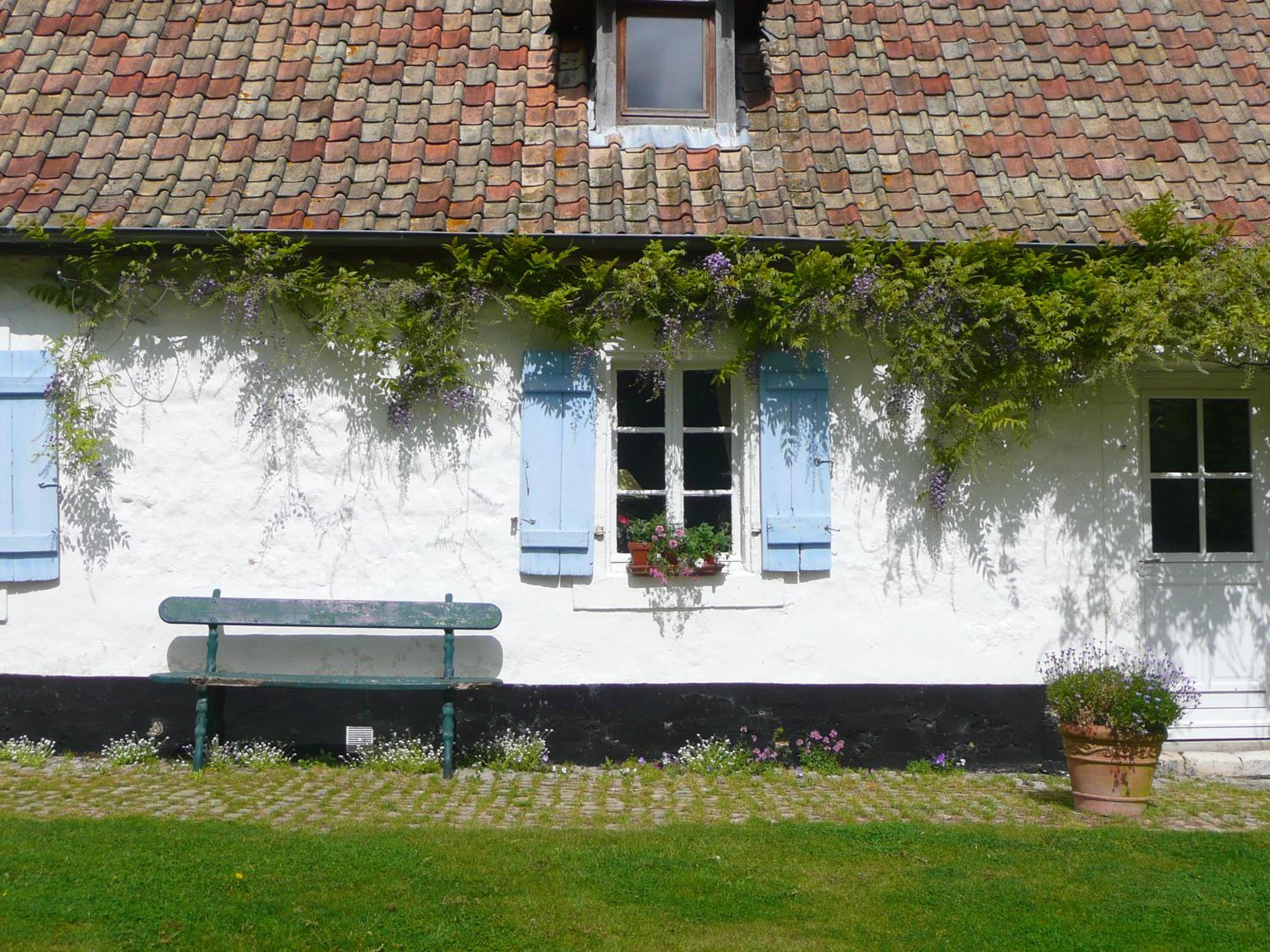 Photo 10