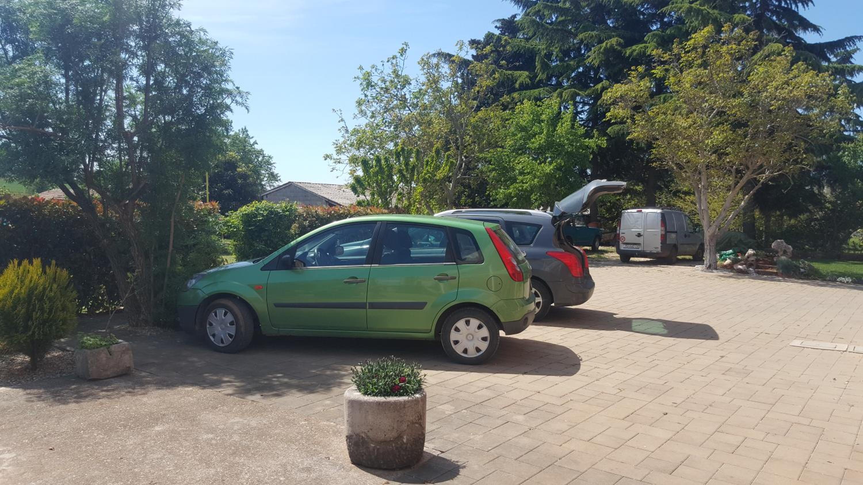 Apartments Sorgo