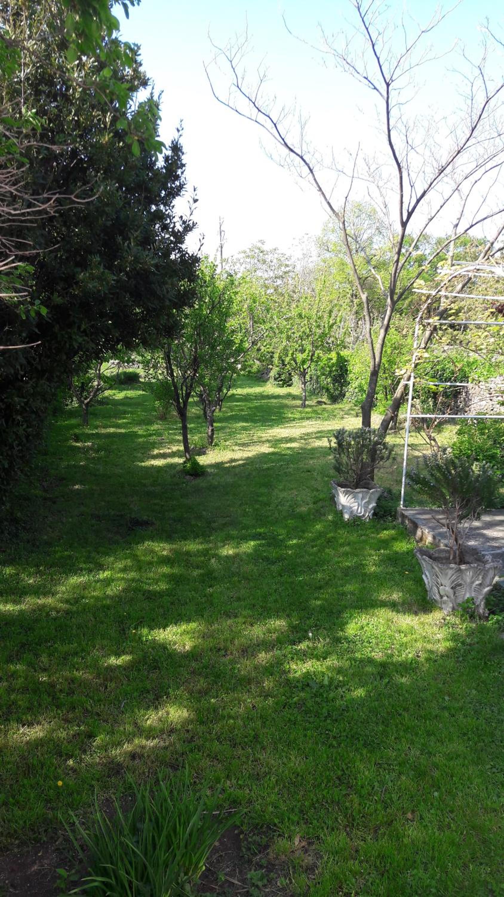 Photo 30