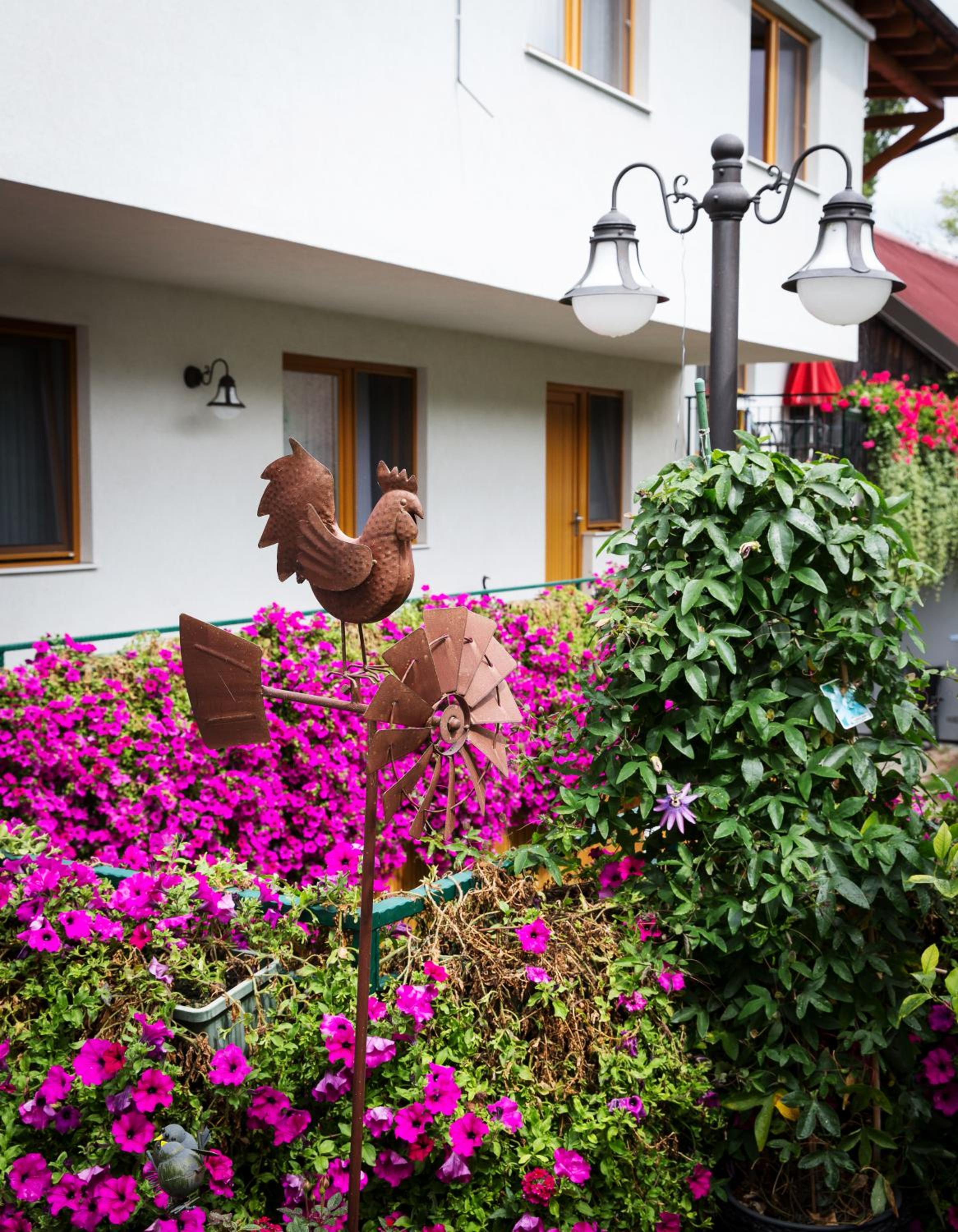Weingut und Gästehaus Salzl