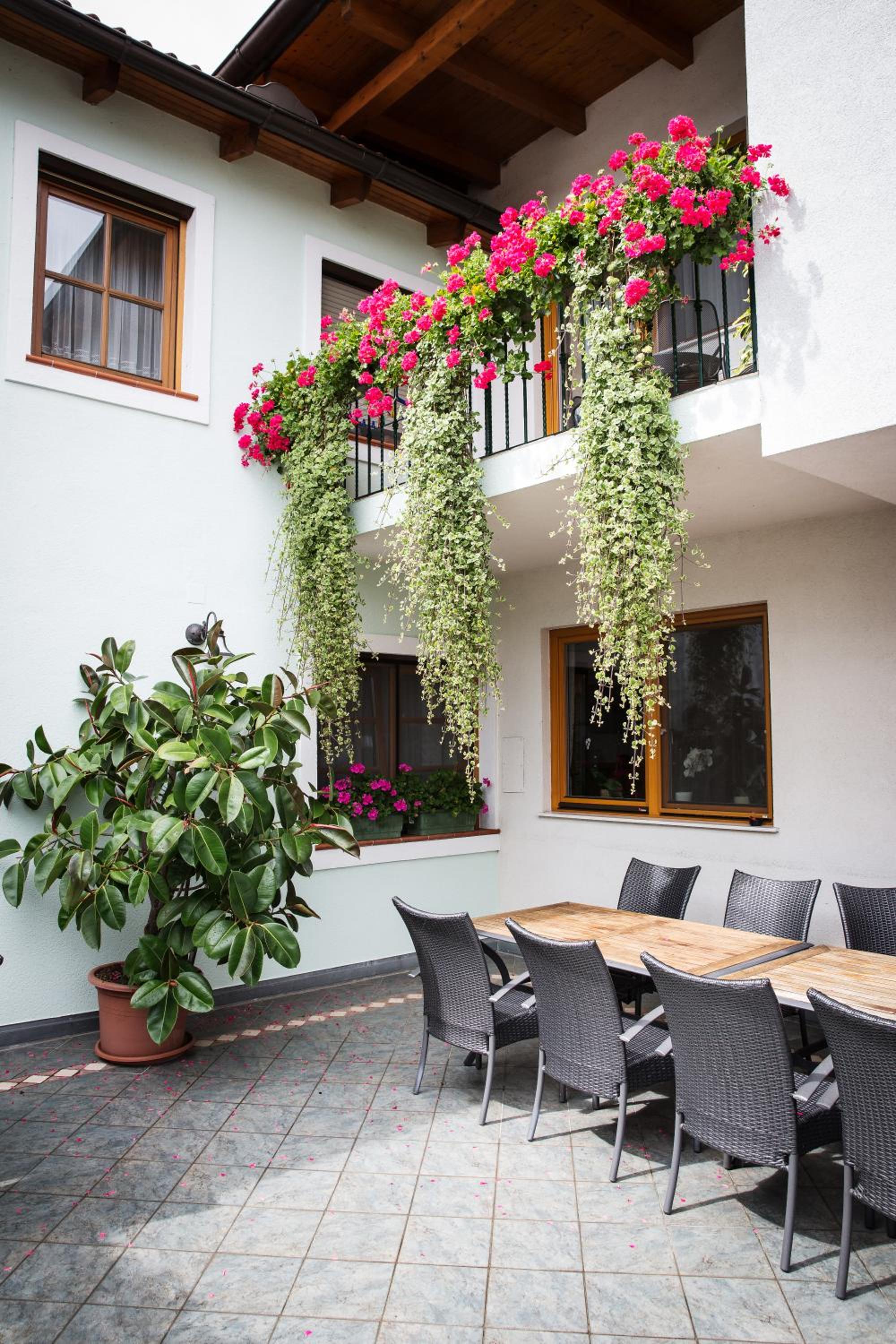 Weingut und Gästehaus Salzl