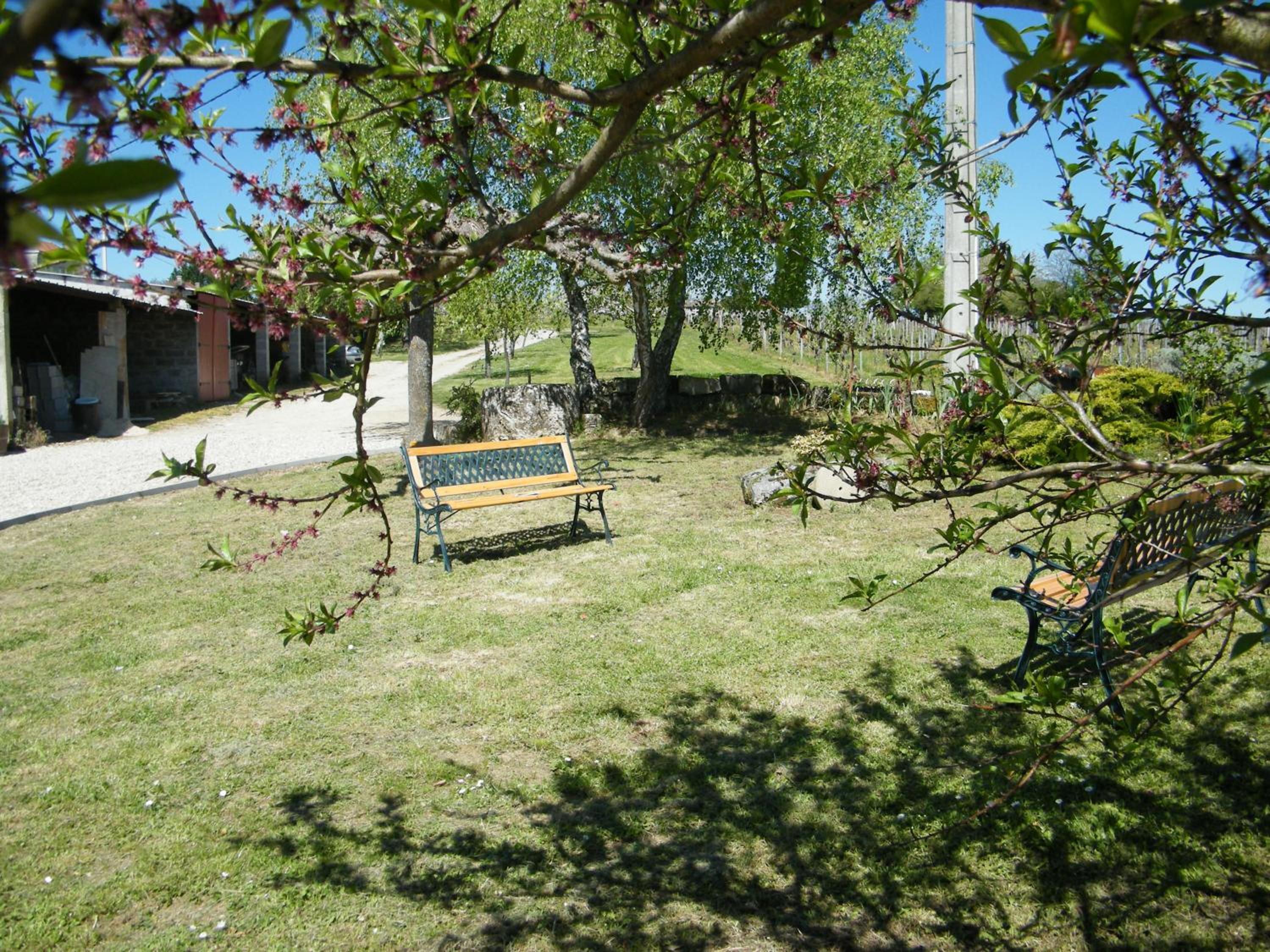 Photo 17