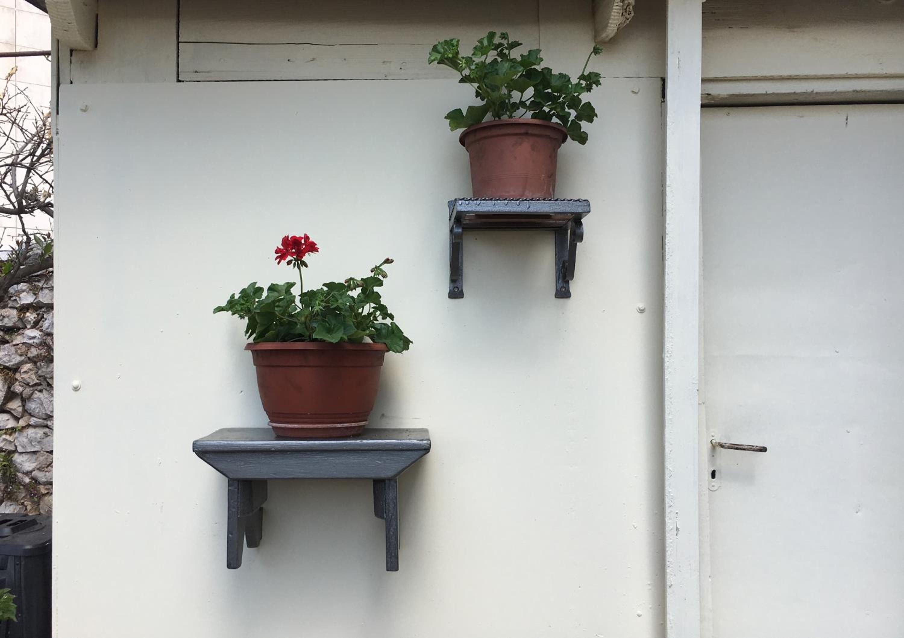 Apartment Grazioso
