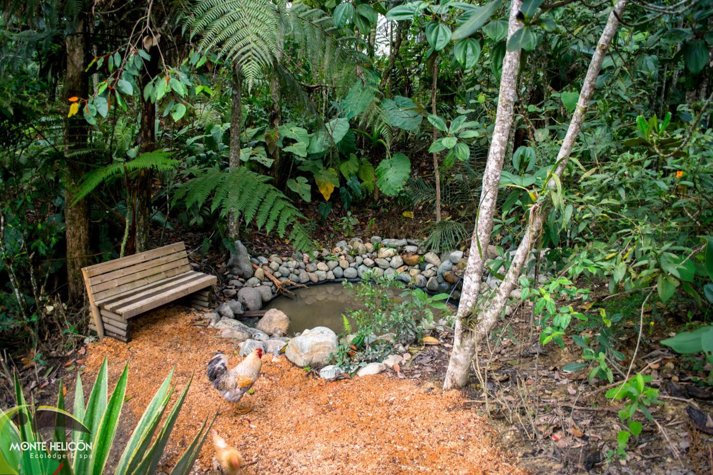Monte Helicón Ecolodge and Spa