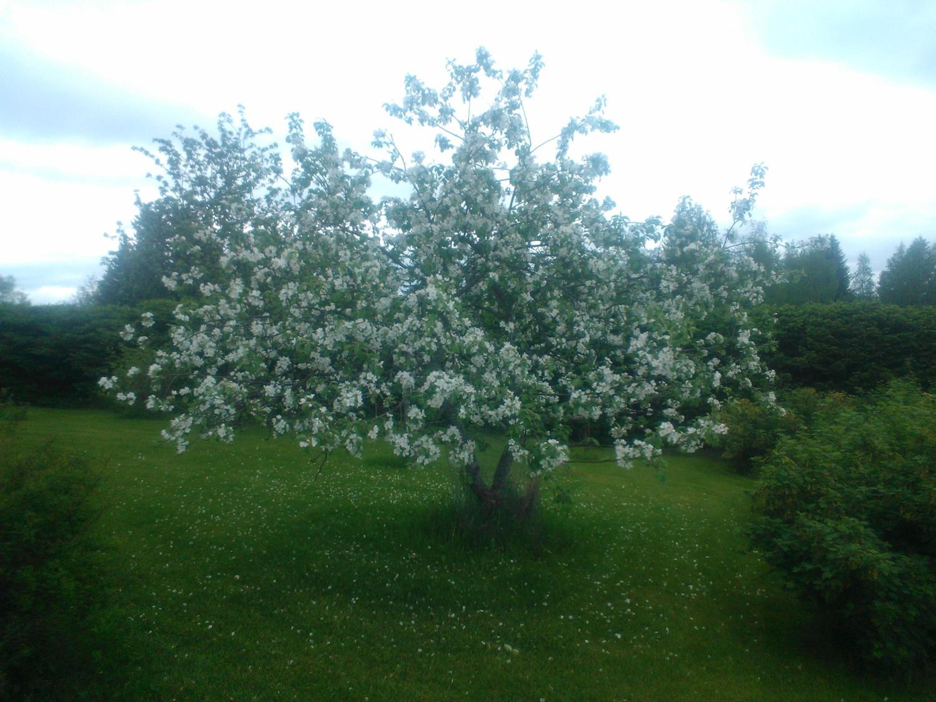 Photo 27