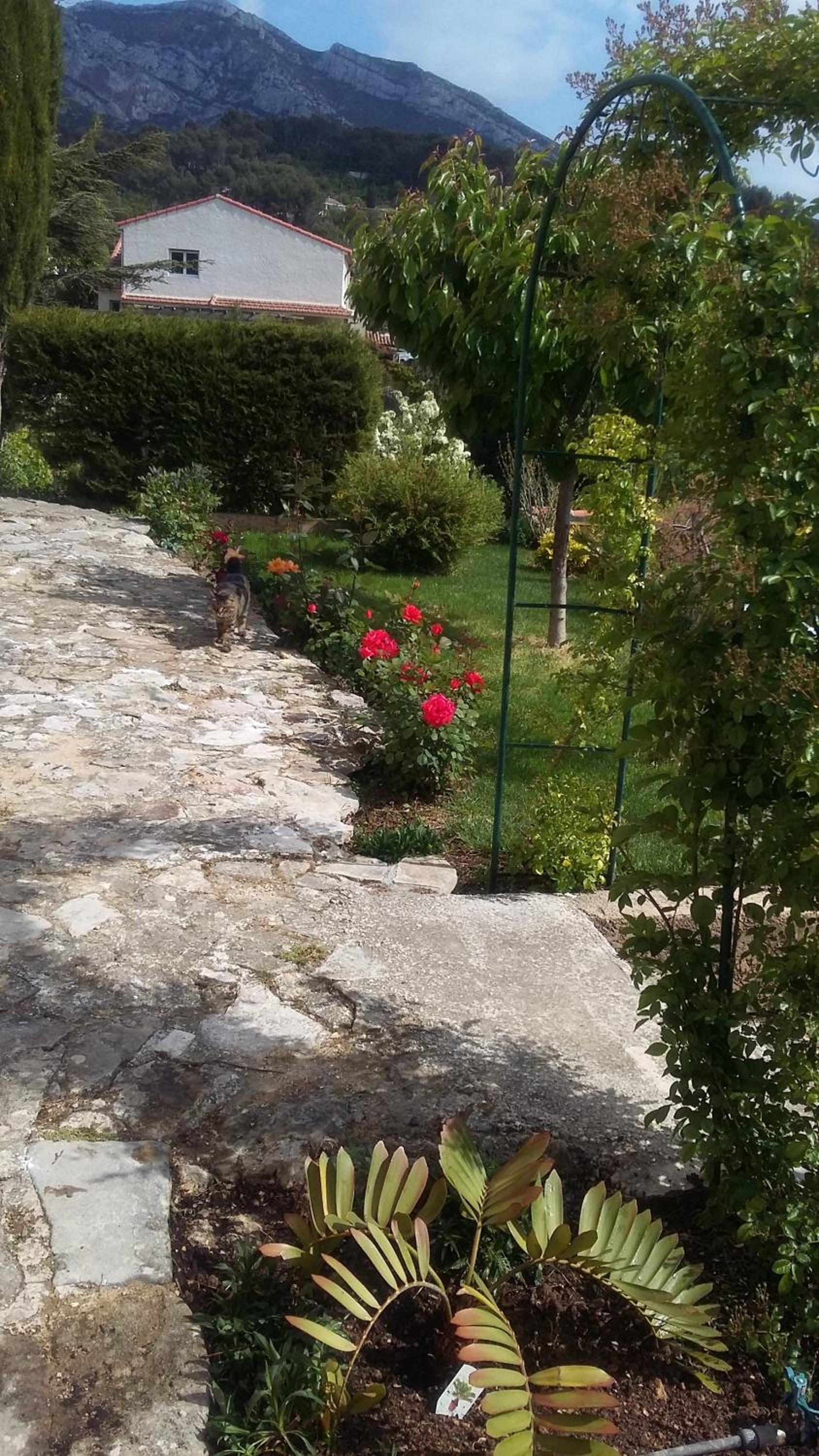 Photo 15