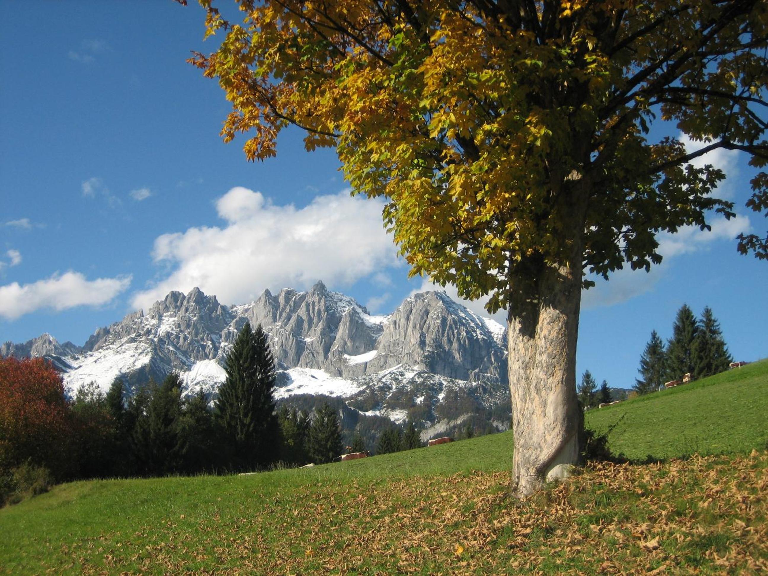 Bauernhof Buchberg