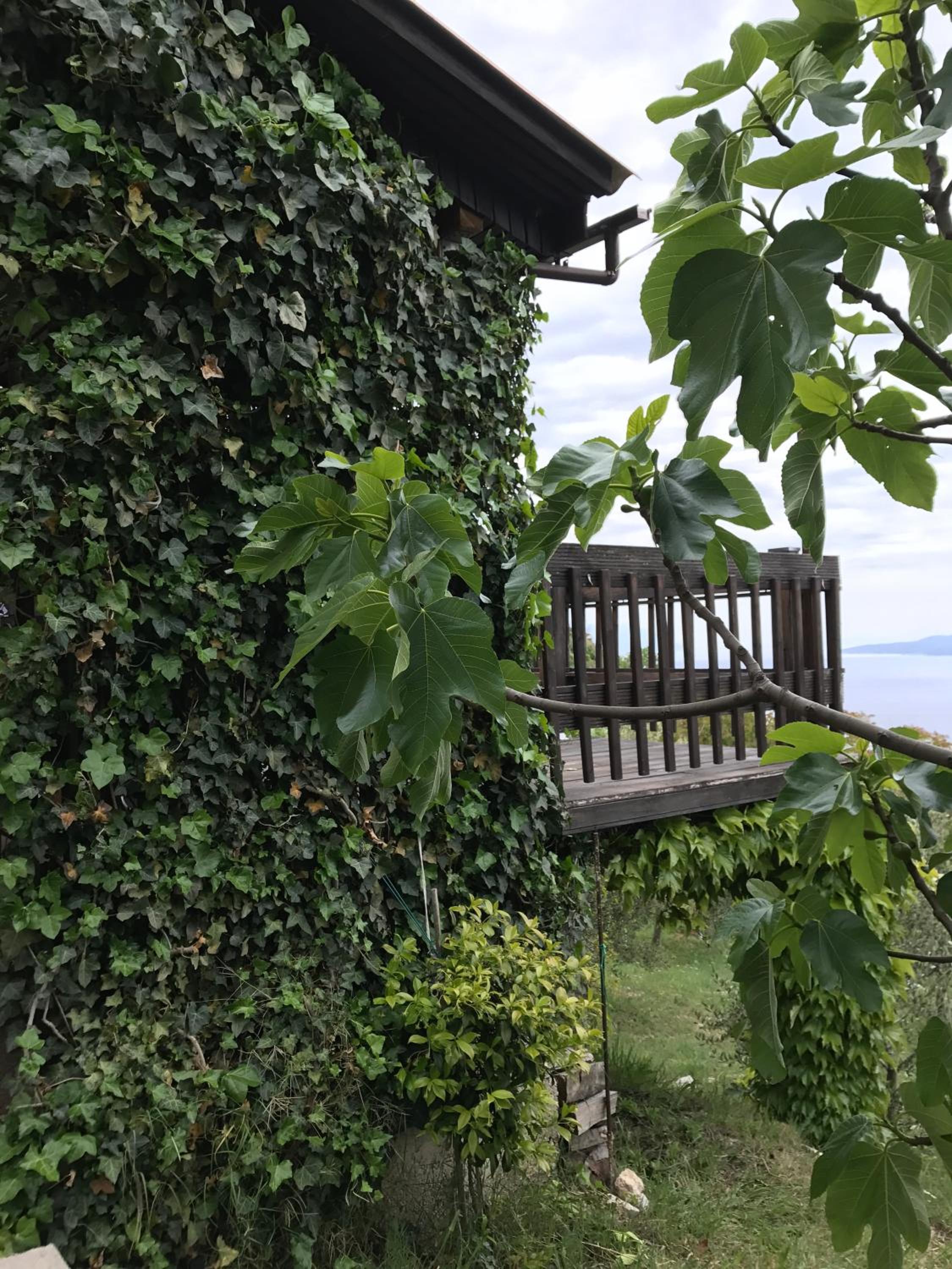Charismatic Garden Cottage with Sea View view 4