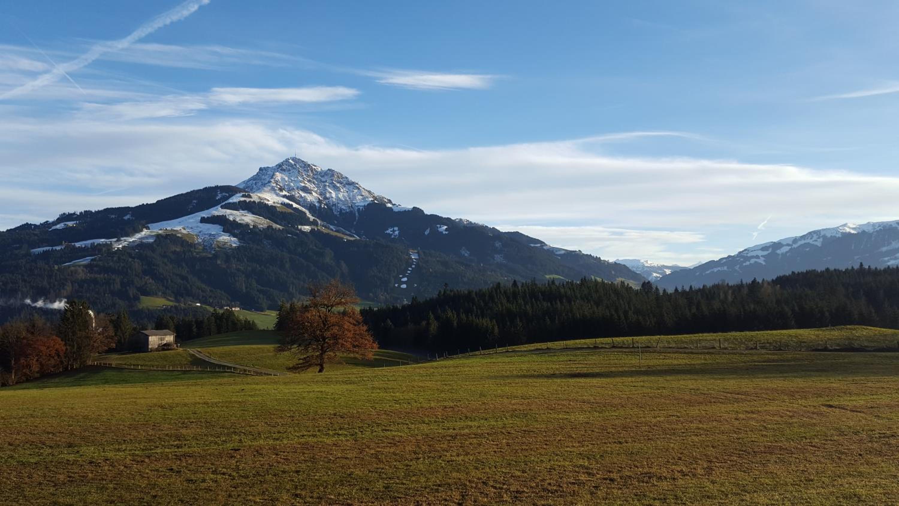 Bauernhof Buchberg