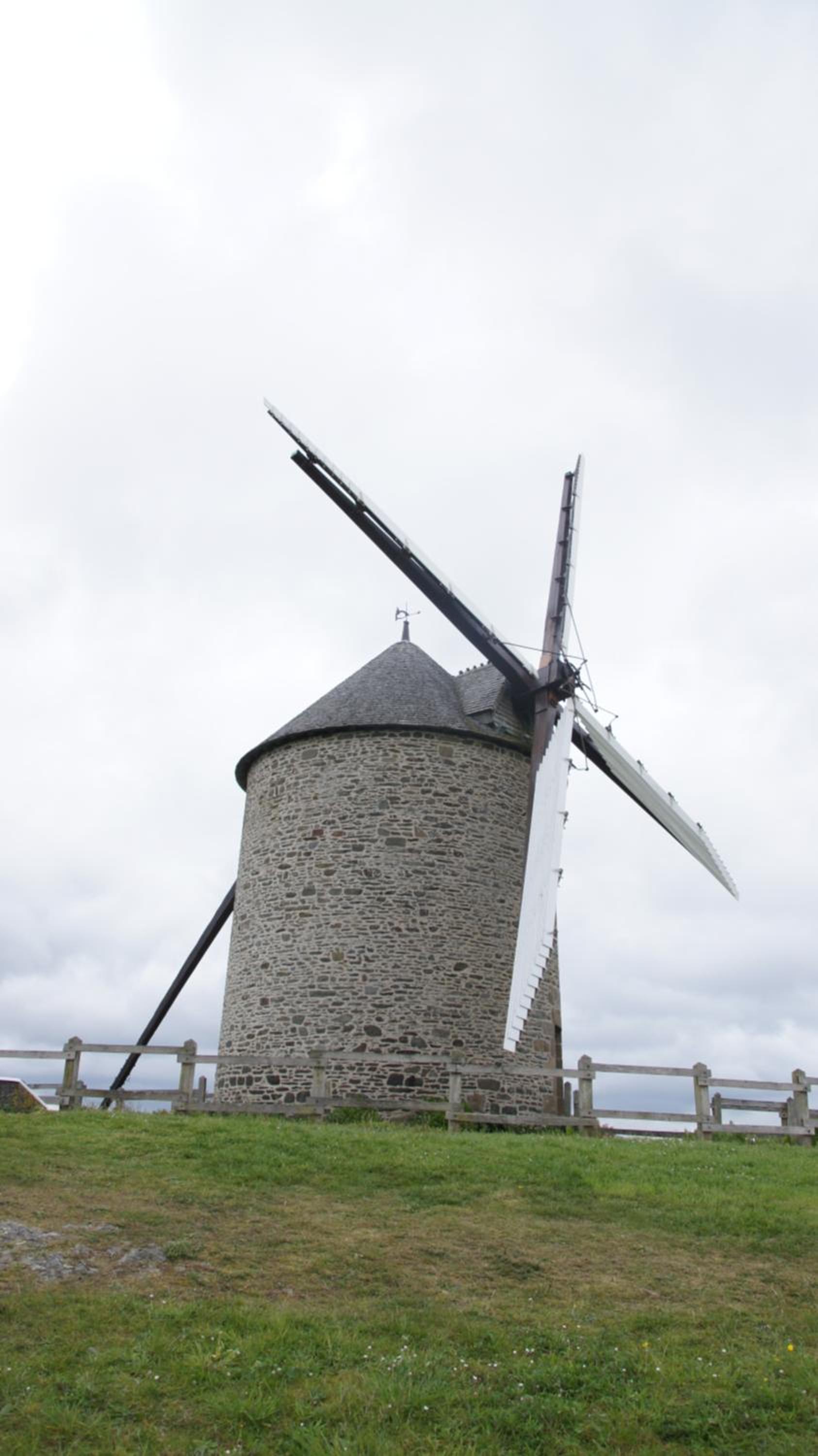 Les Colombes de la Baie du Mont Saint-Michel
