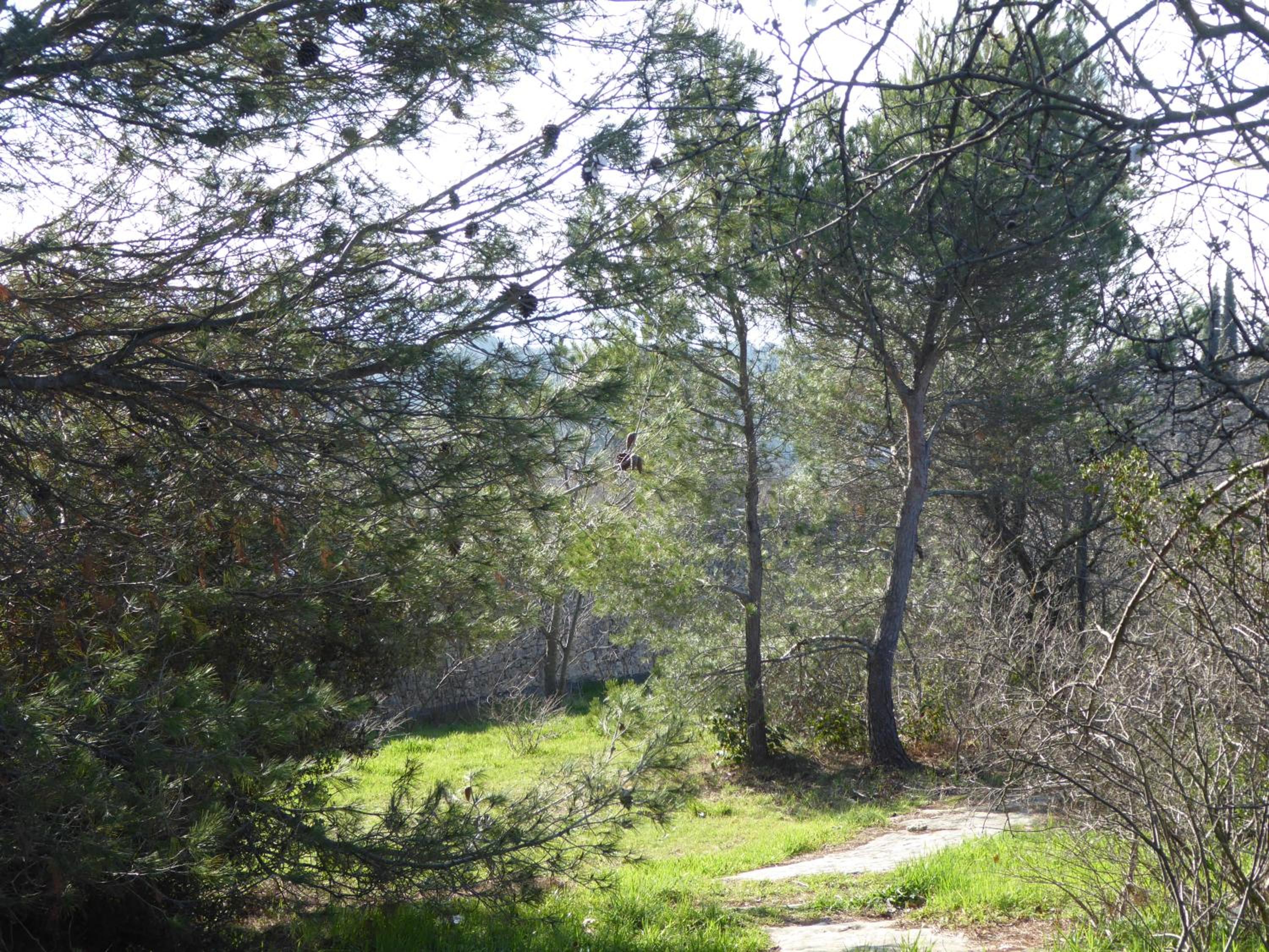 Photo 33