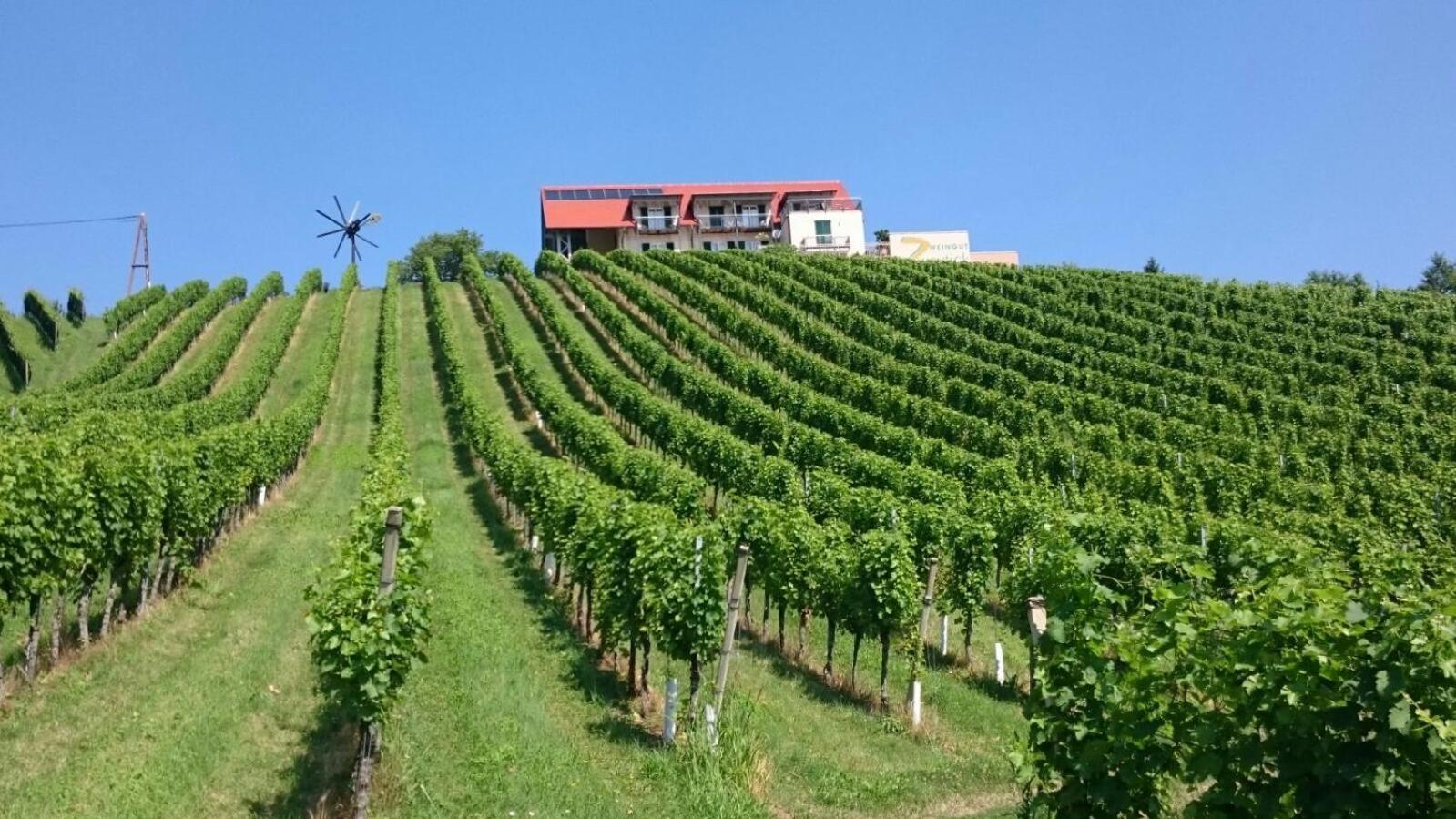 Zweytick Gästezimmer Weingut