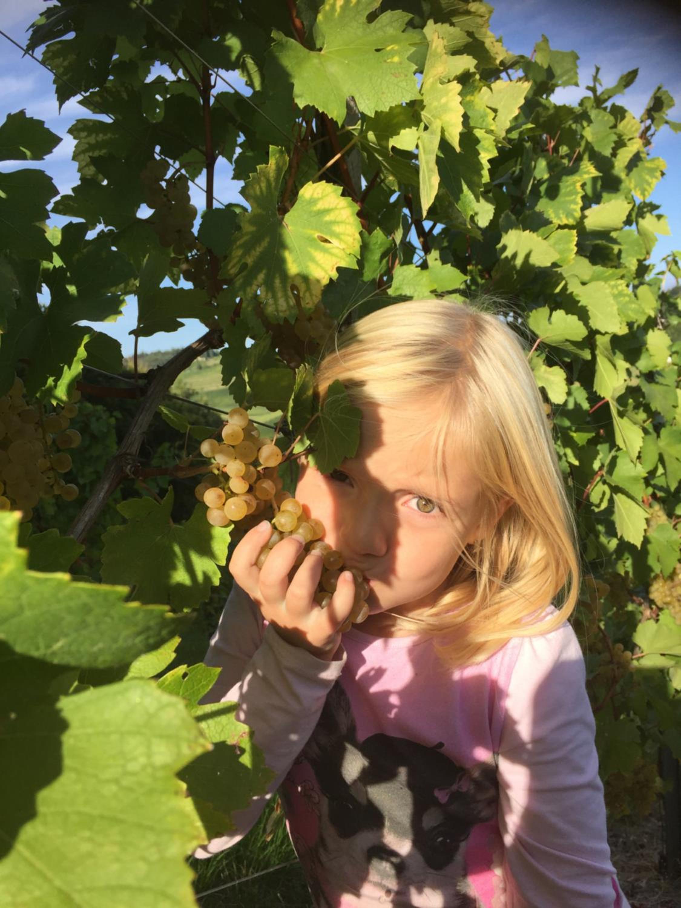 Zweytick Gästezimmer Weingut