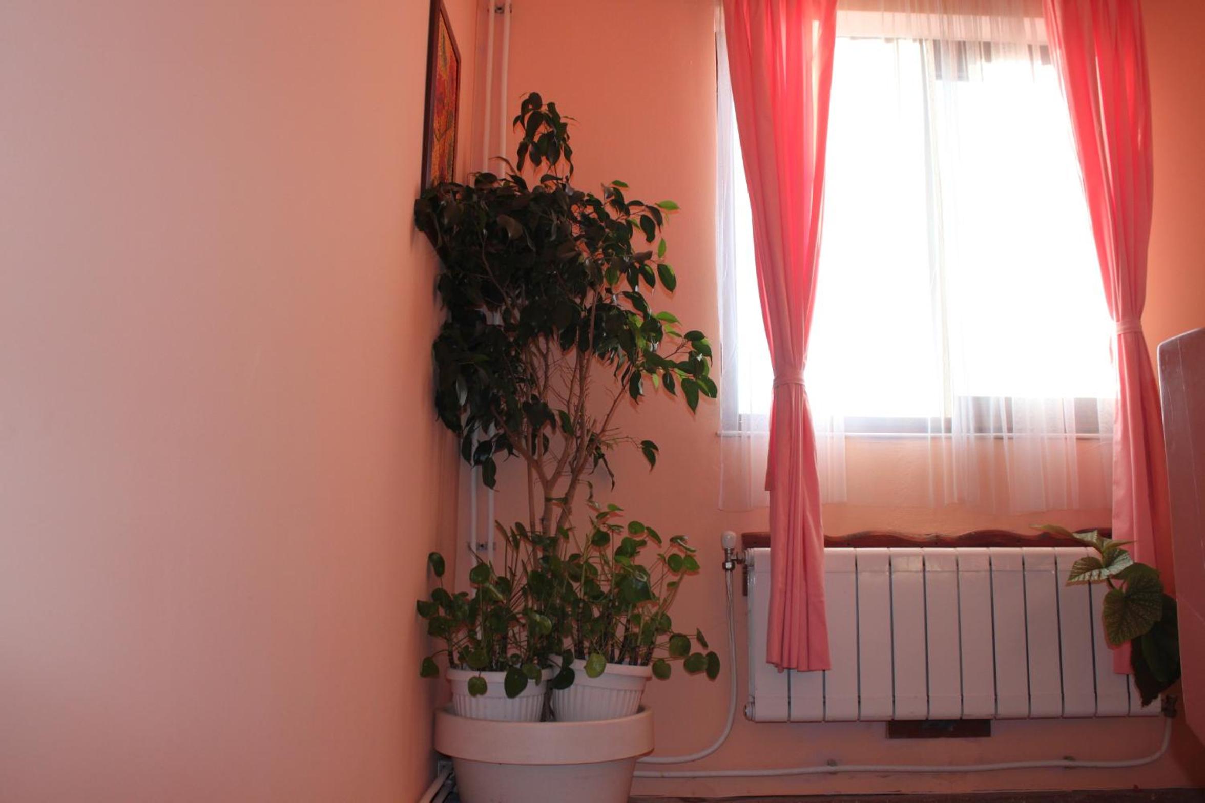 Guest House Daskalov