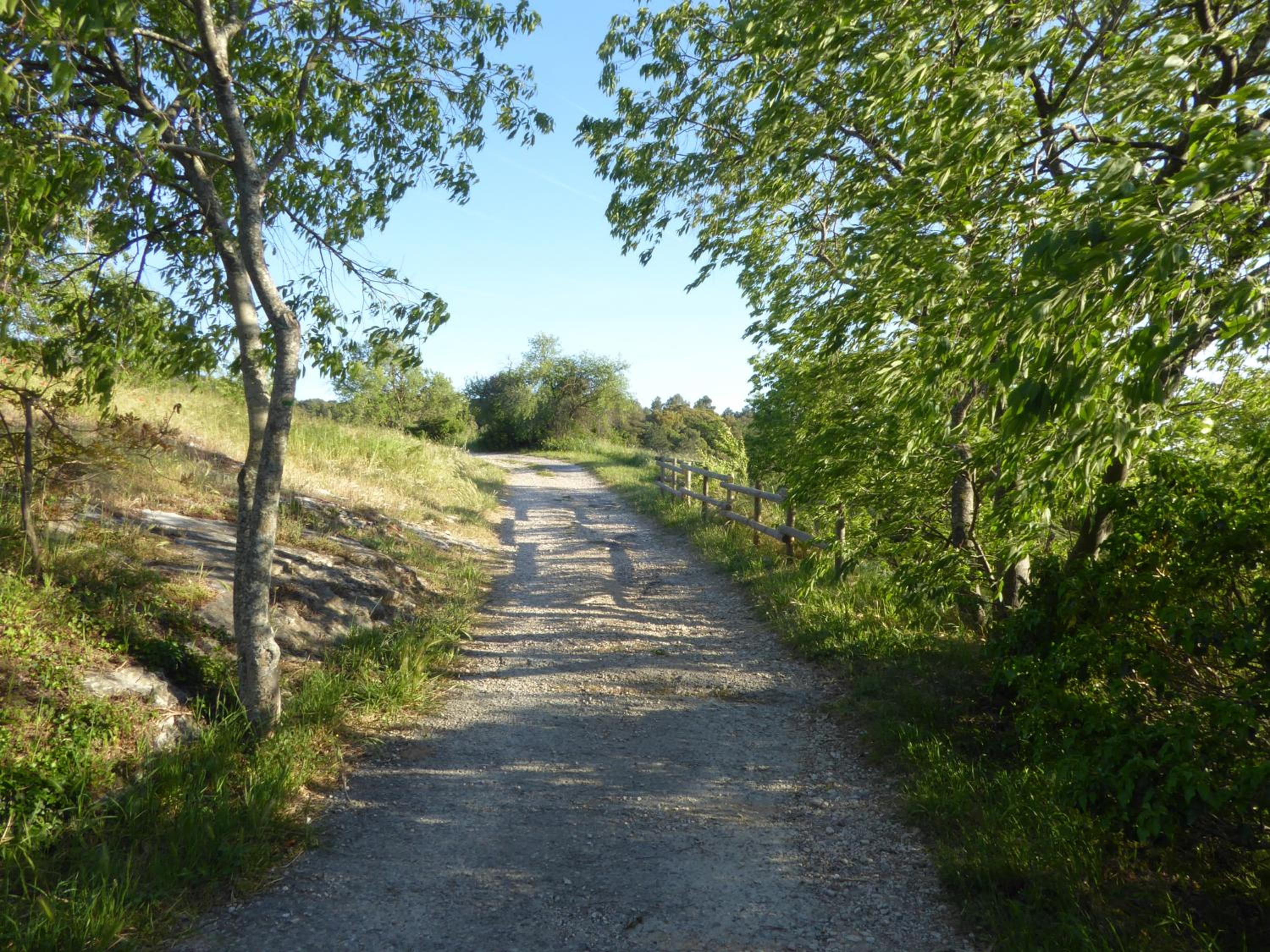 Photo 30