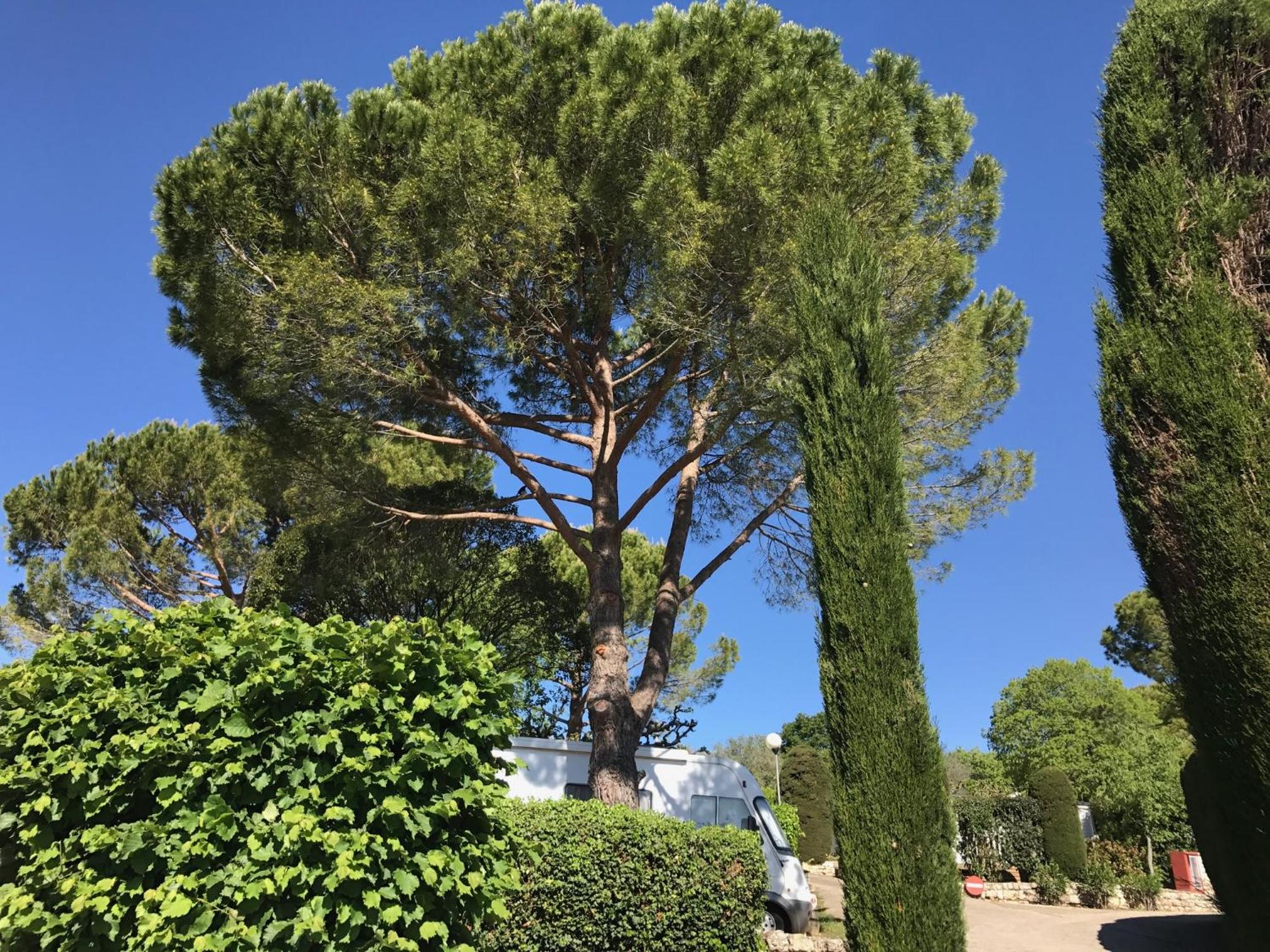 Camping la Paoute
