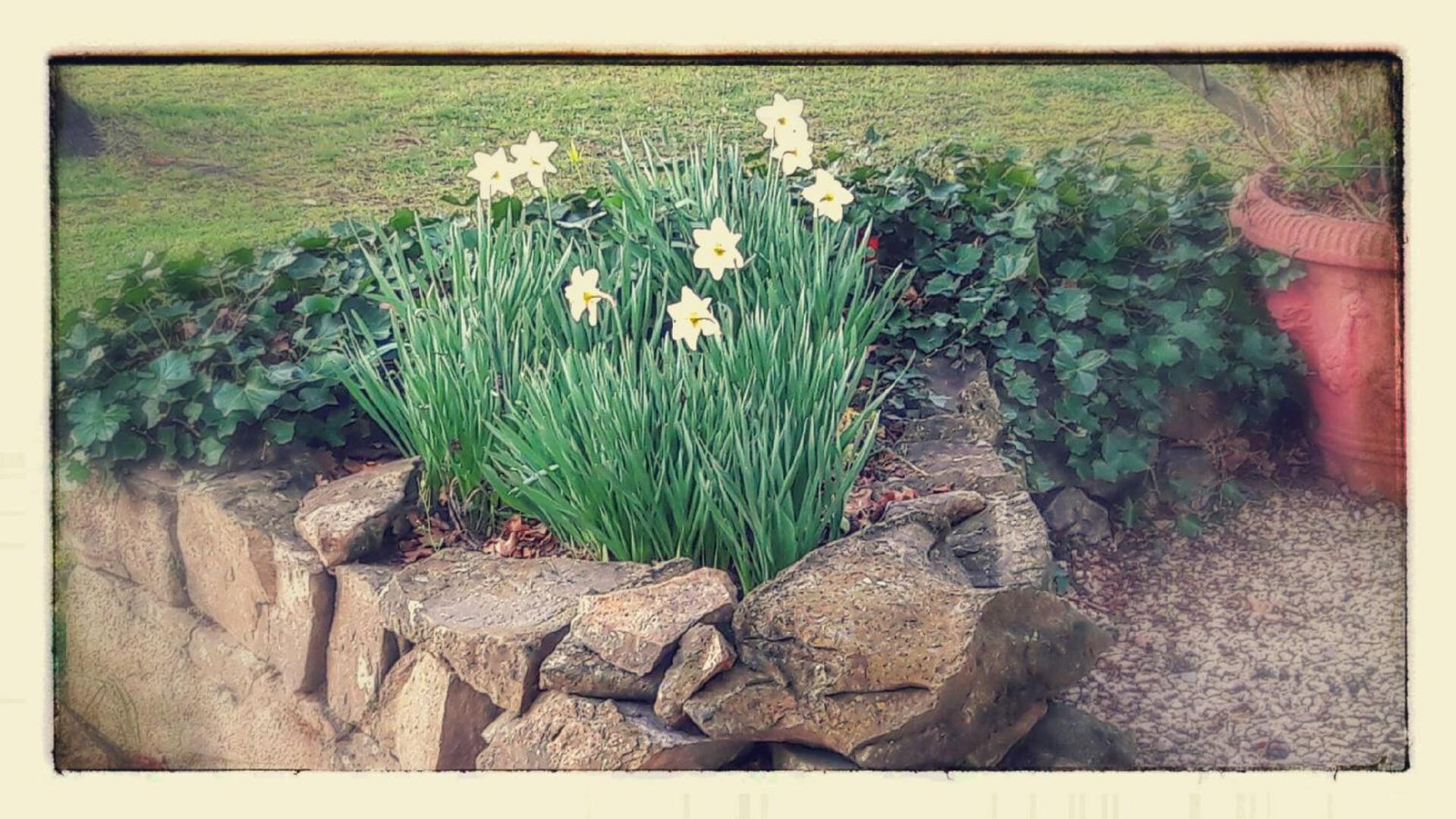 Photo 33
