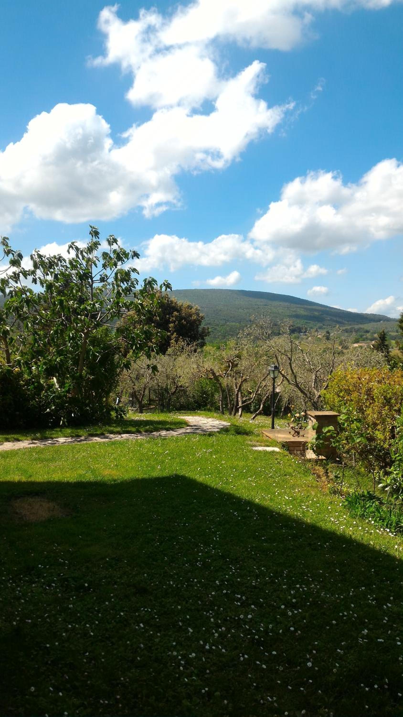 Borgo Montauto