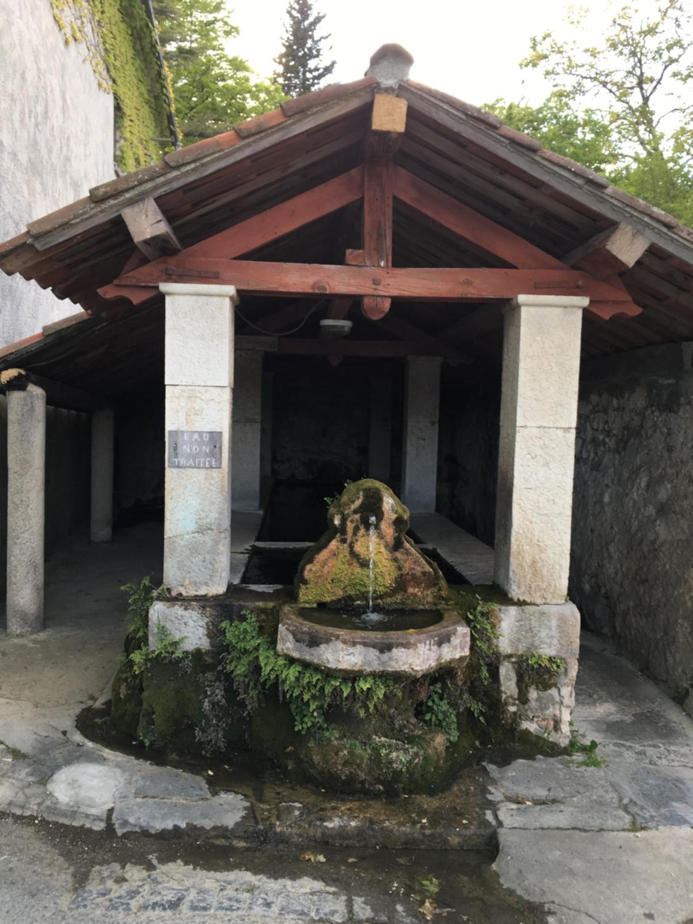 Photo 26