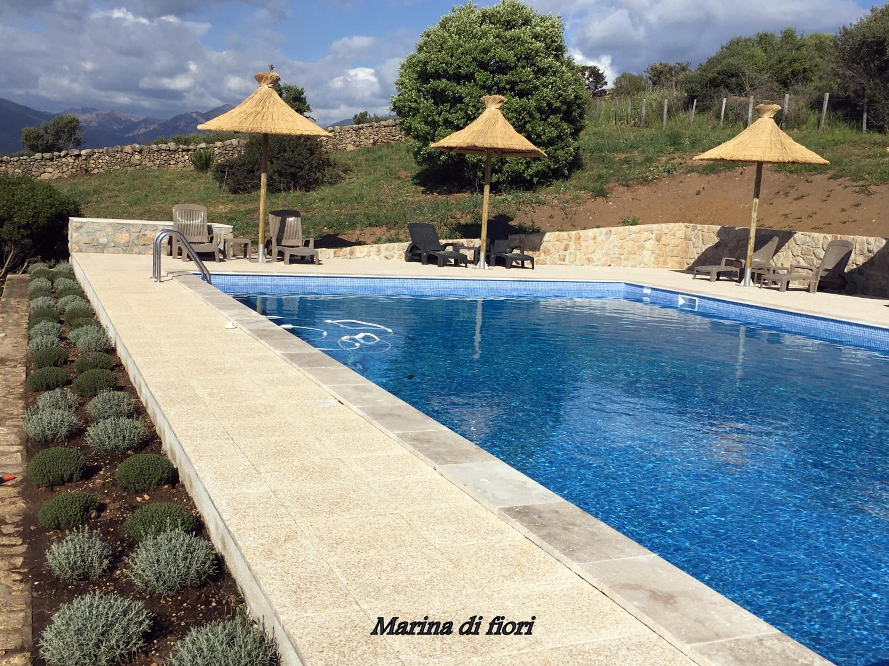 Marina di fiori photo 4