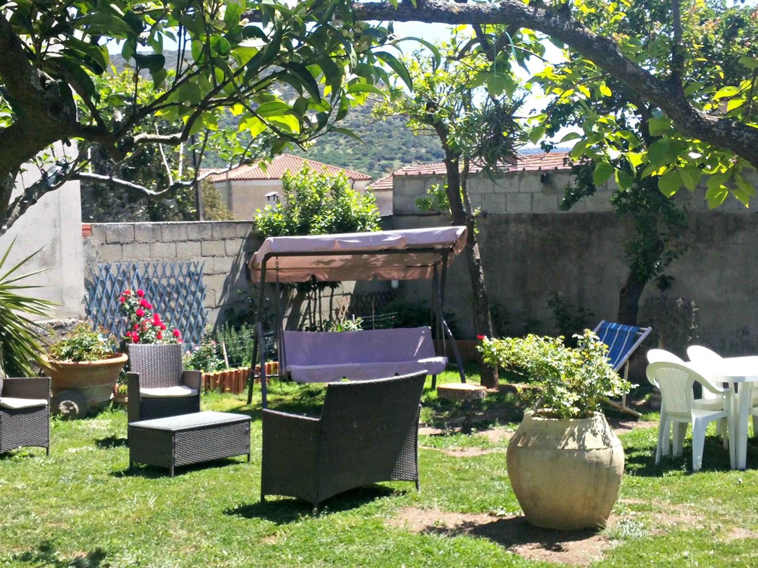Photo 42