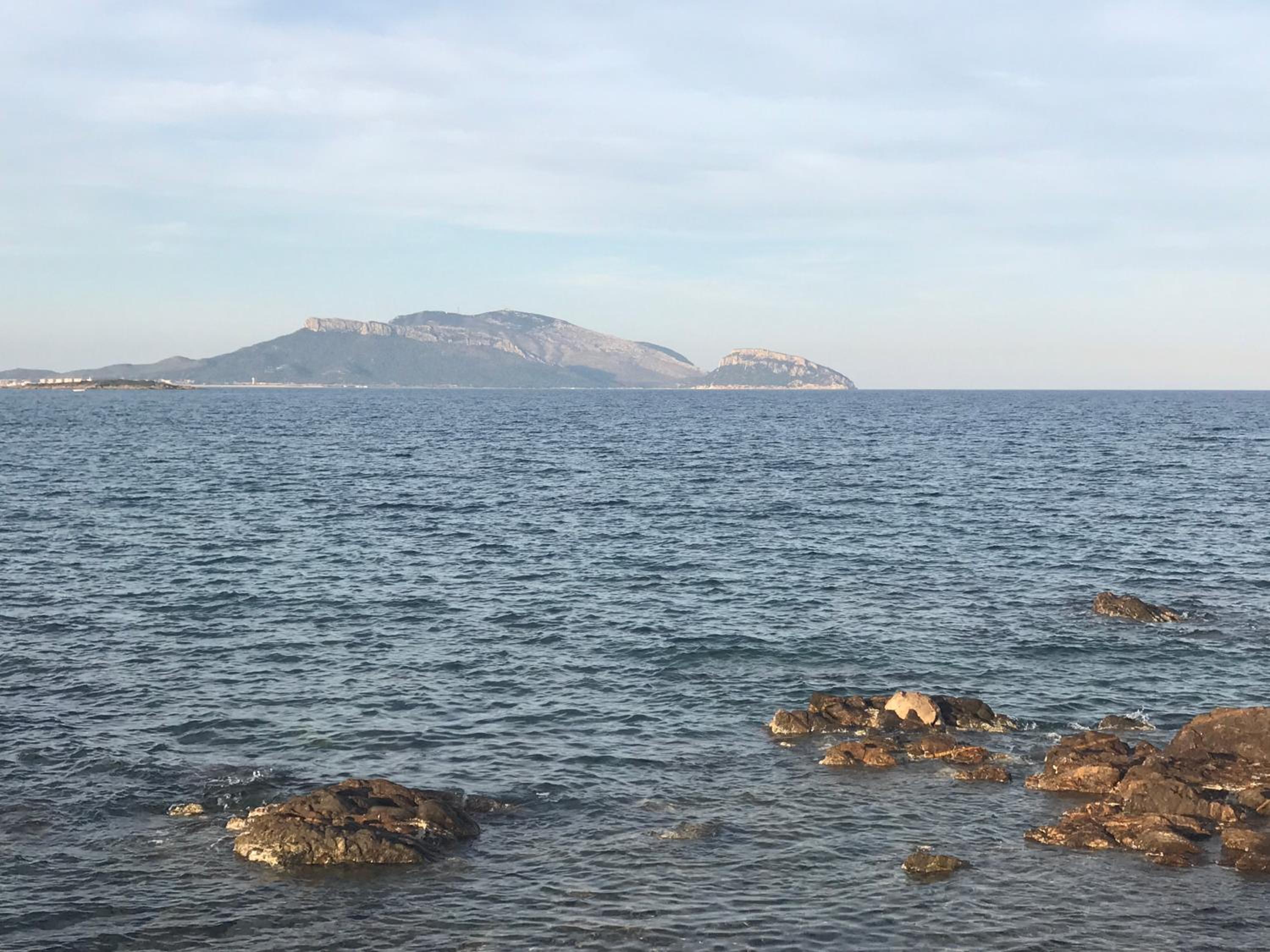 Bados Mare