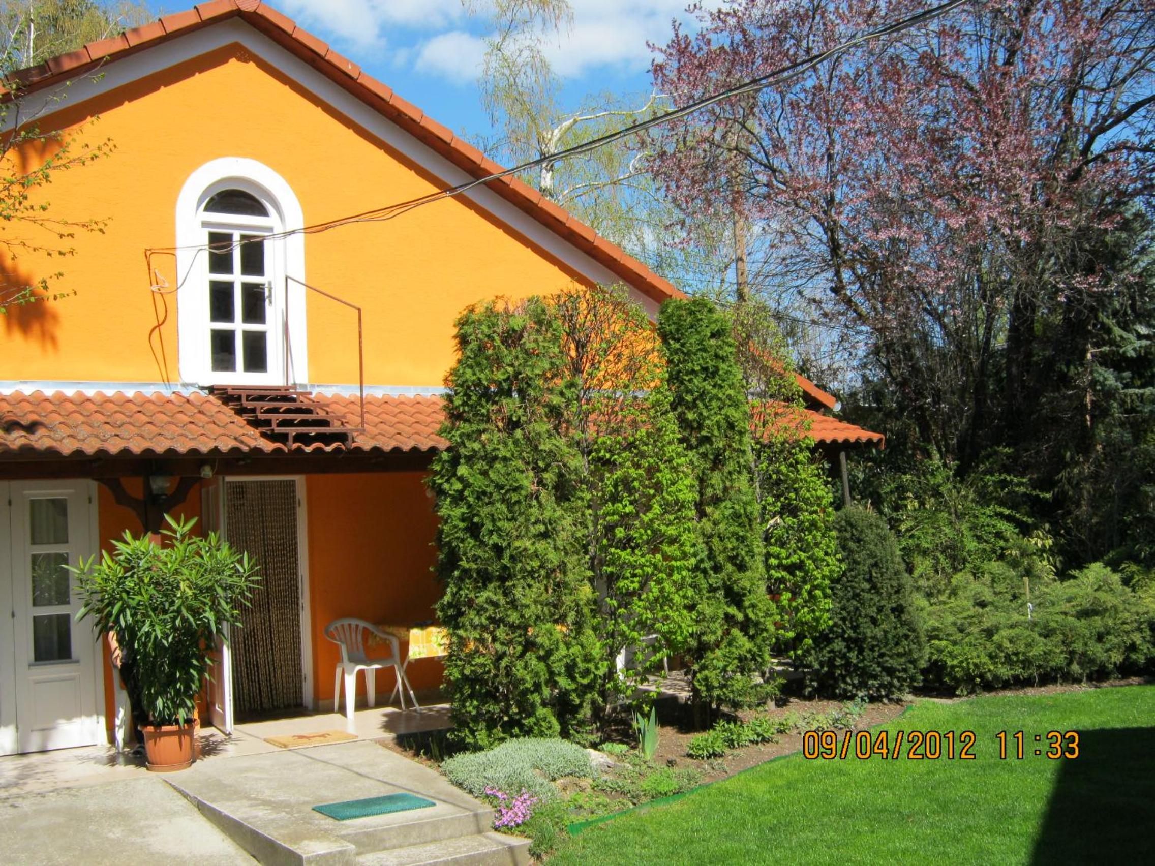 Photo 11