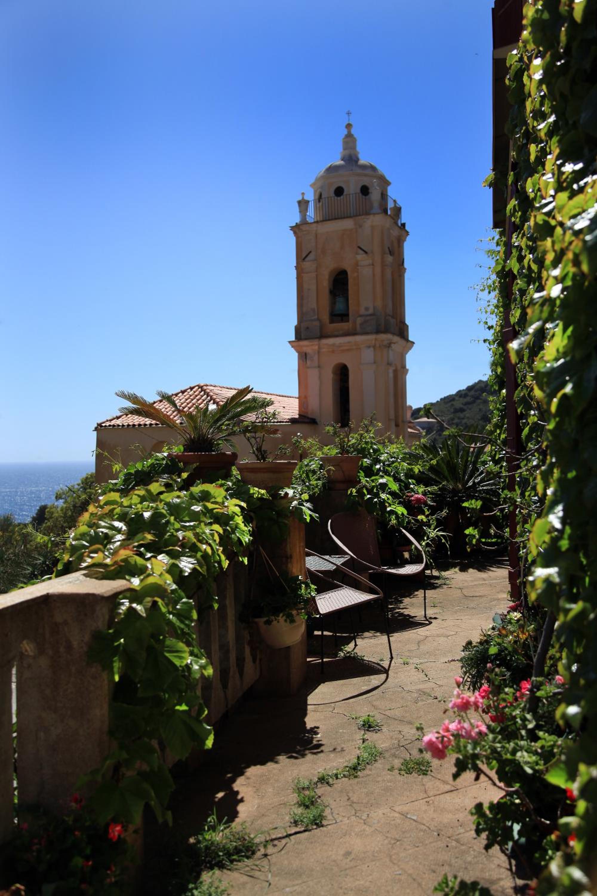 Balcony & Terrace