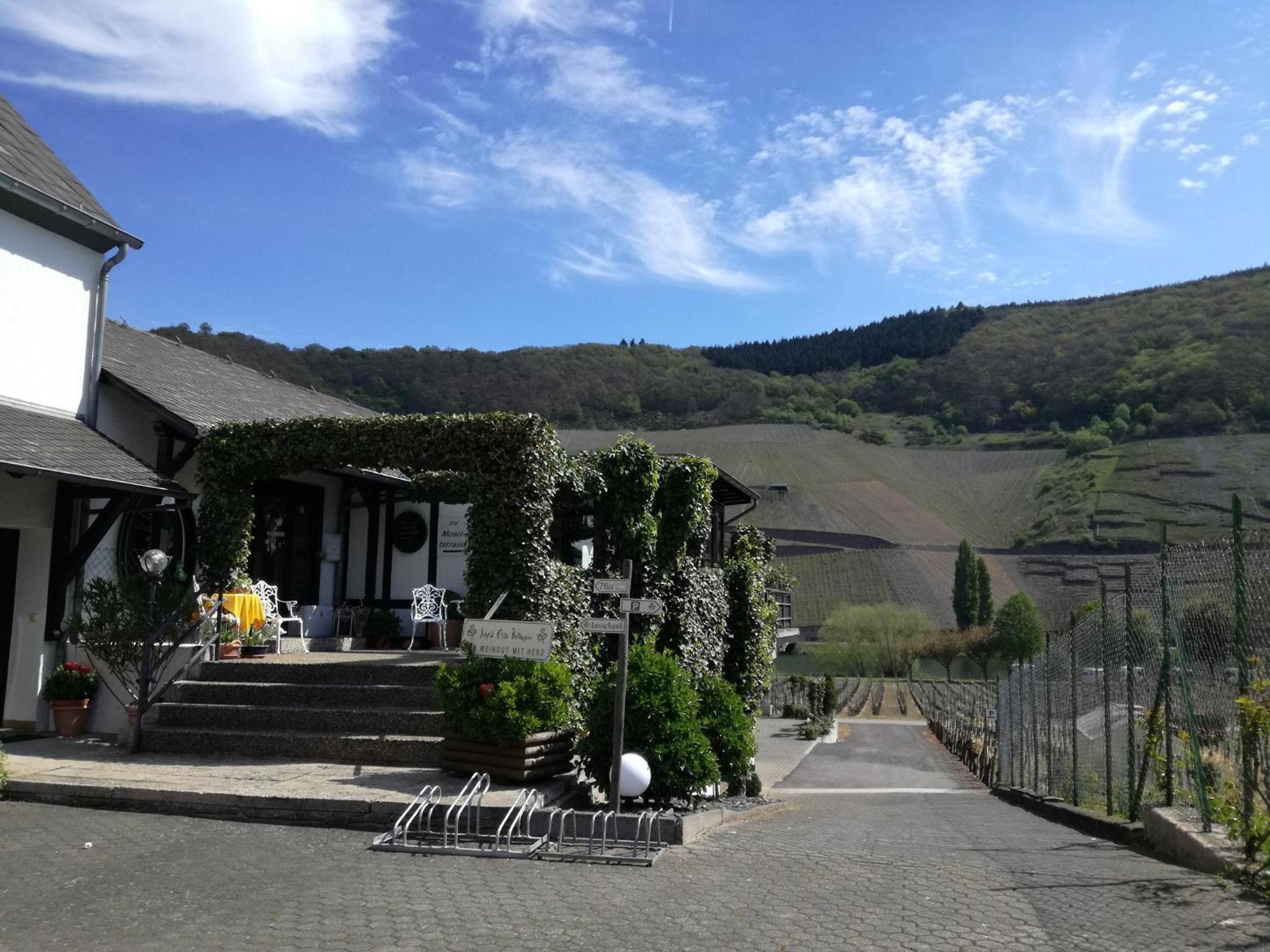 Wein & Gästehaus Ballmann view 4