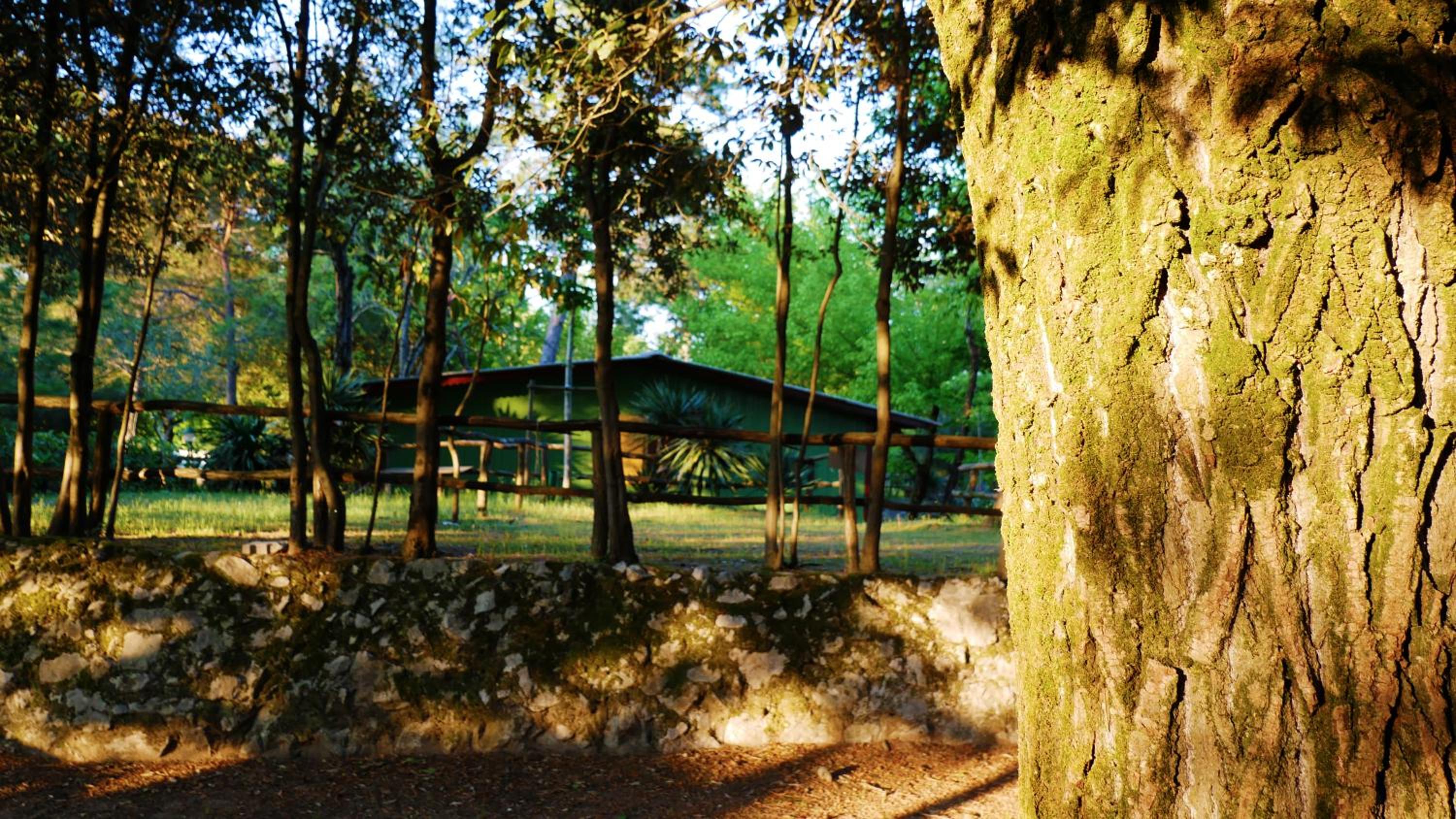Campeggio Al Bosco