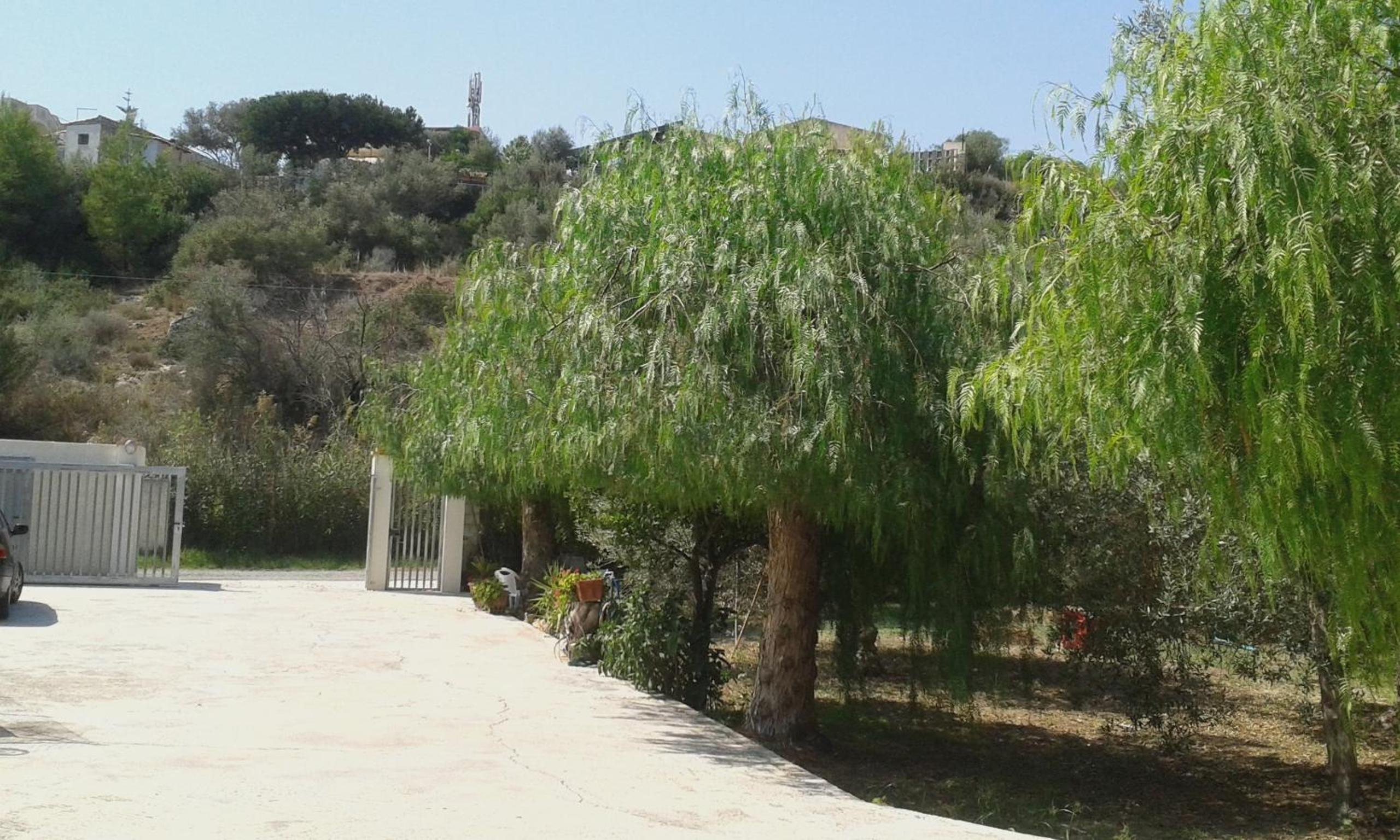 Photo 25