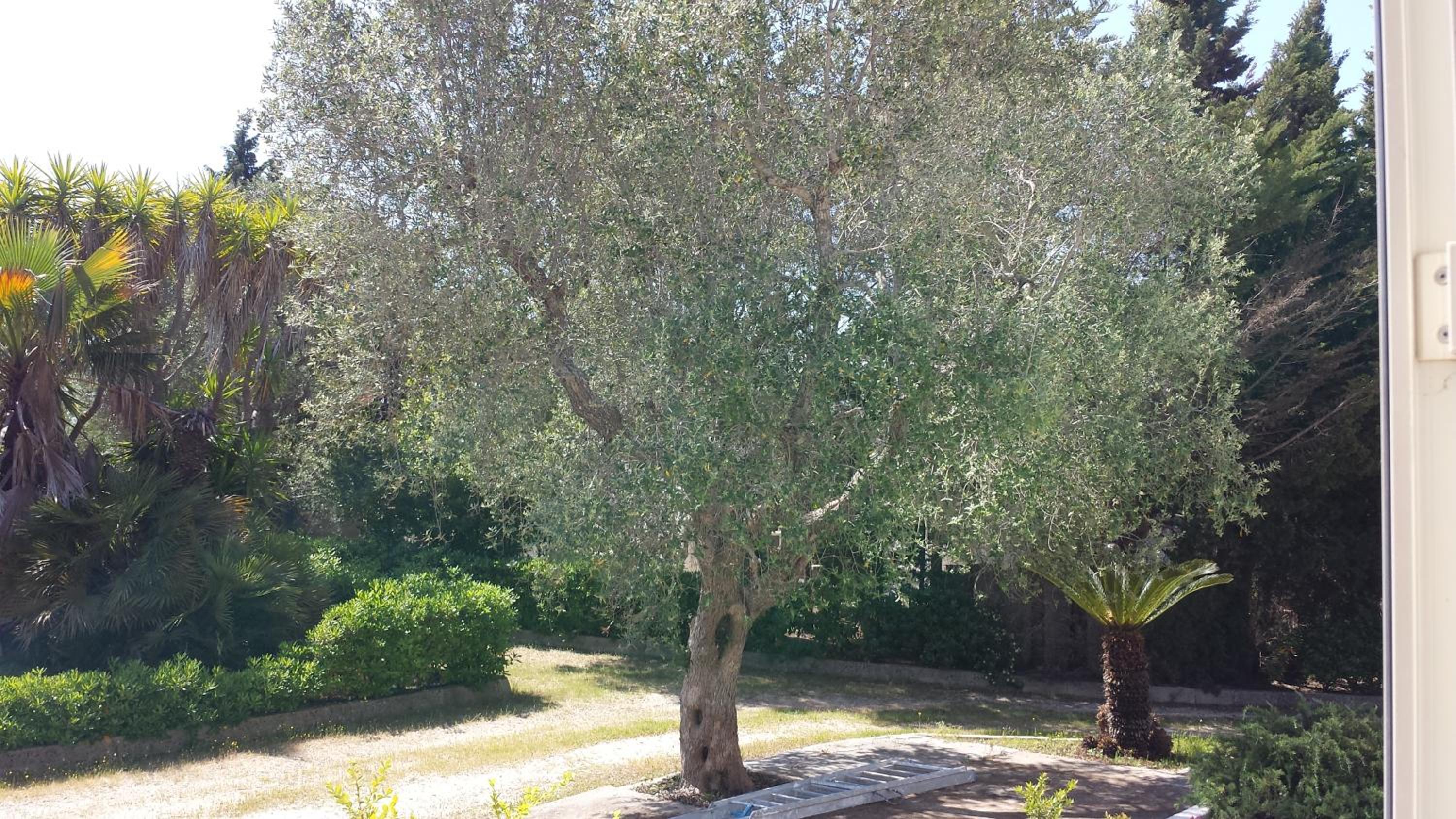 Photo 49