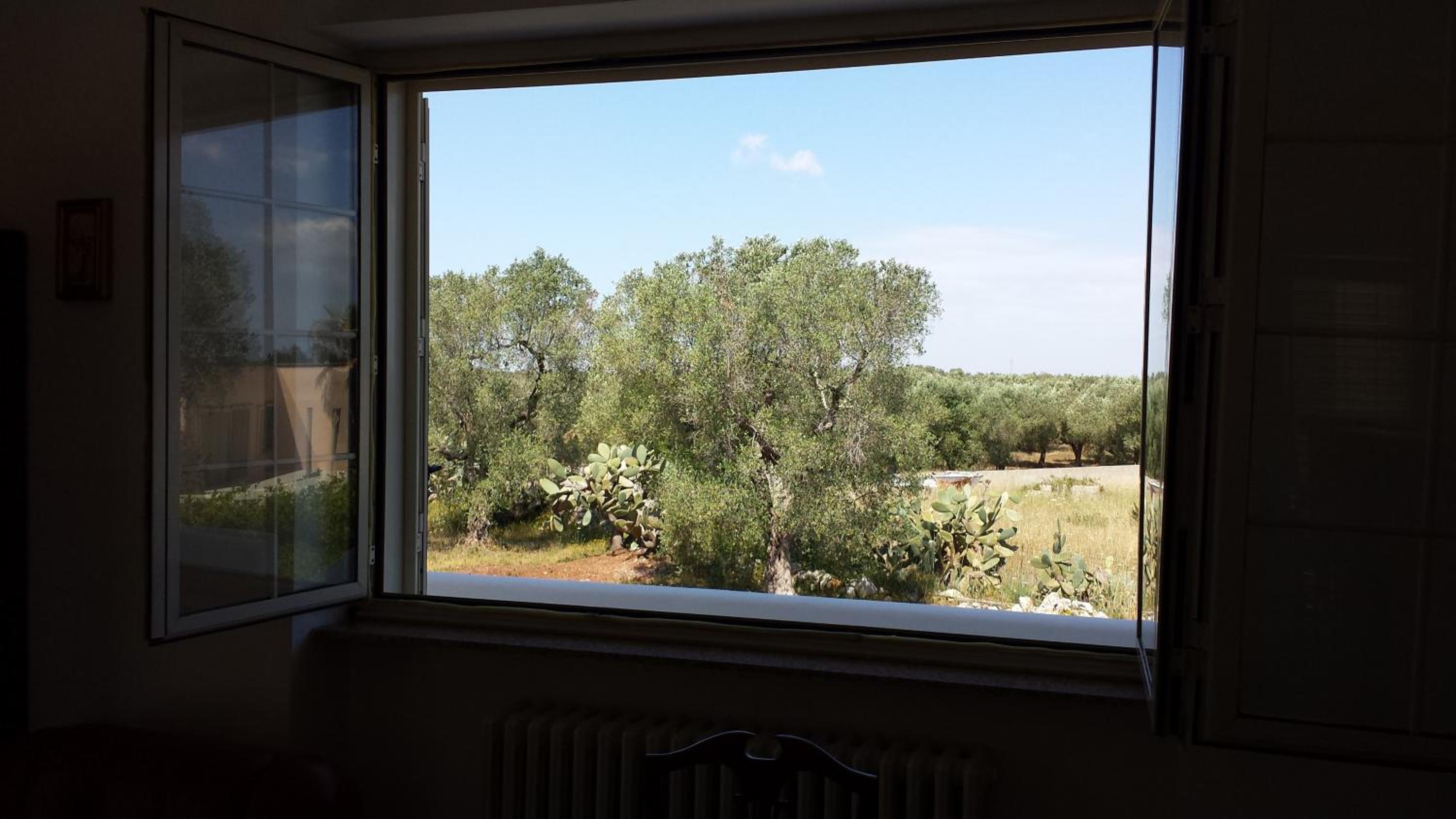 Photo 47