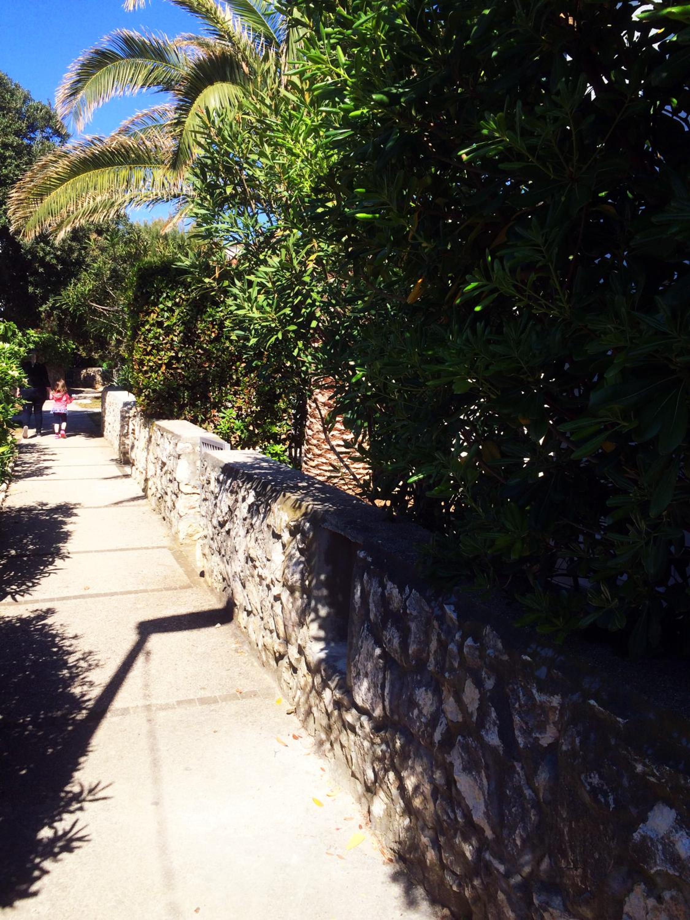Photo 41