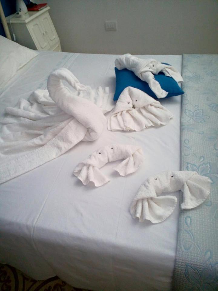 Photo 49