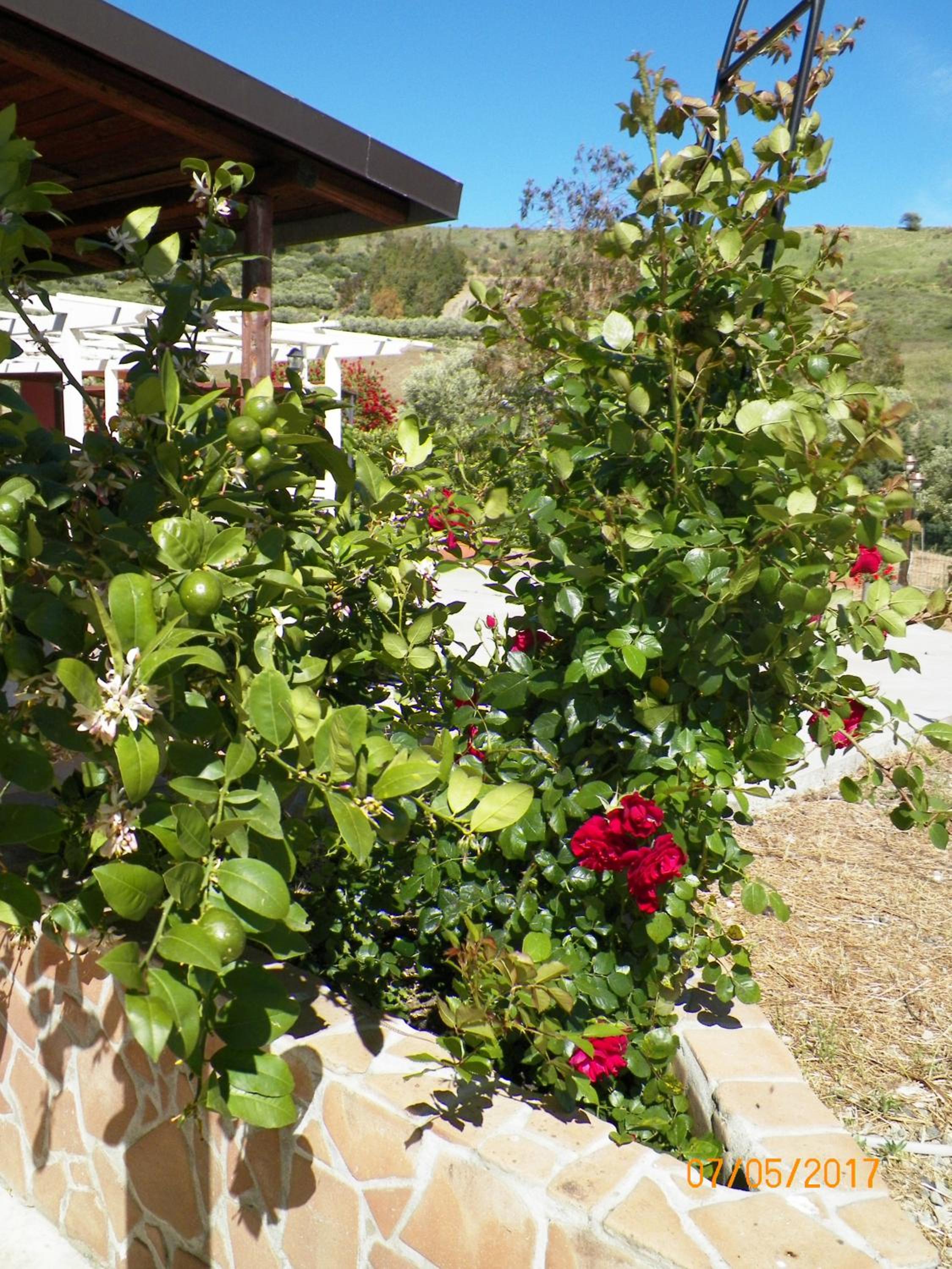 Agriturismo Colle del Sindaco