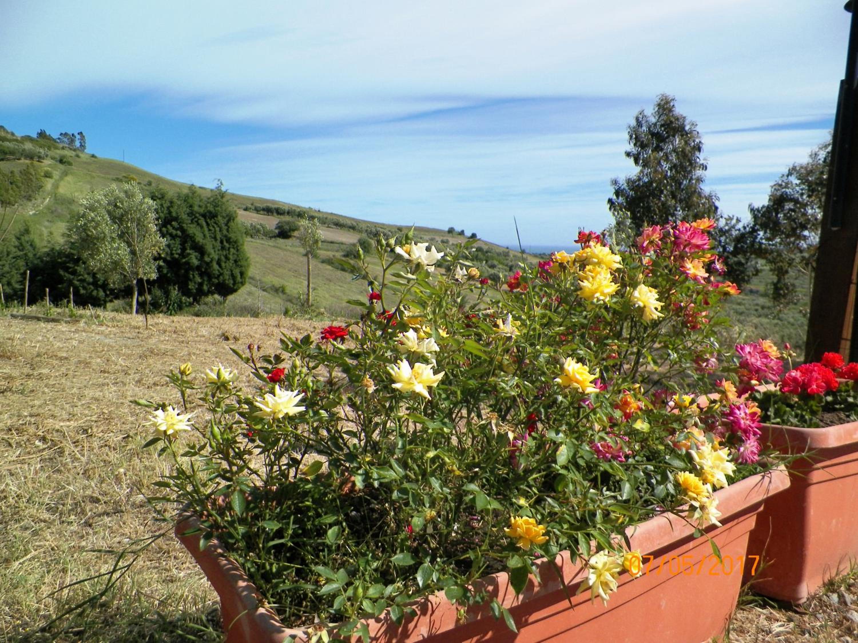 Agriturismo Colle del Sindaco
