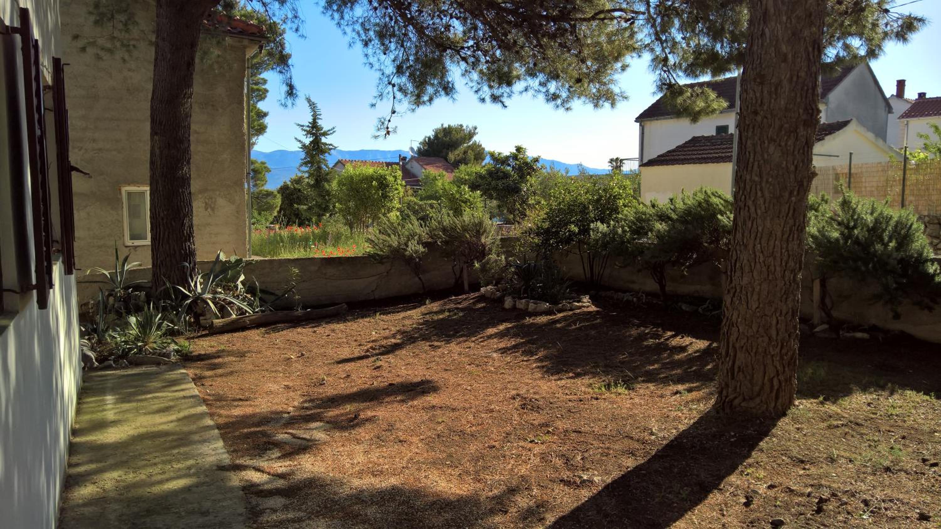 Photo 49
