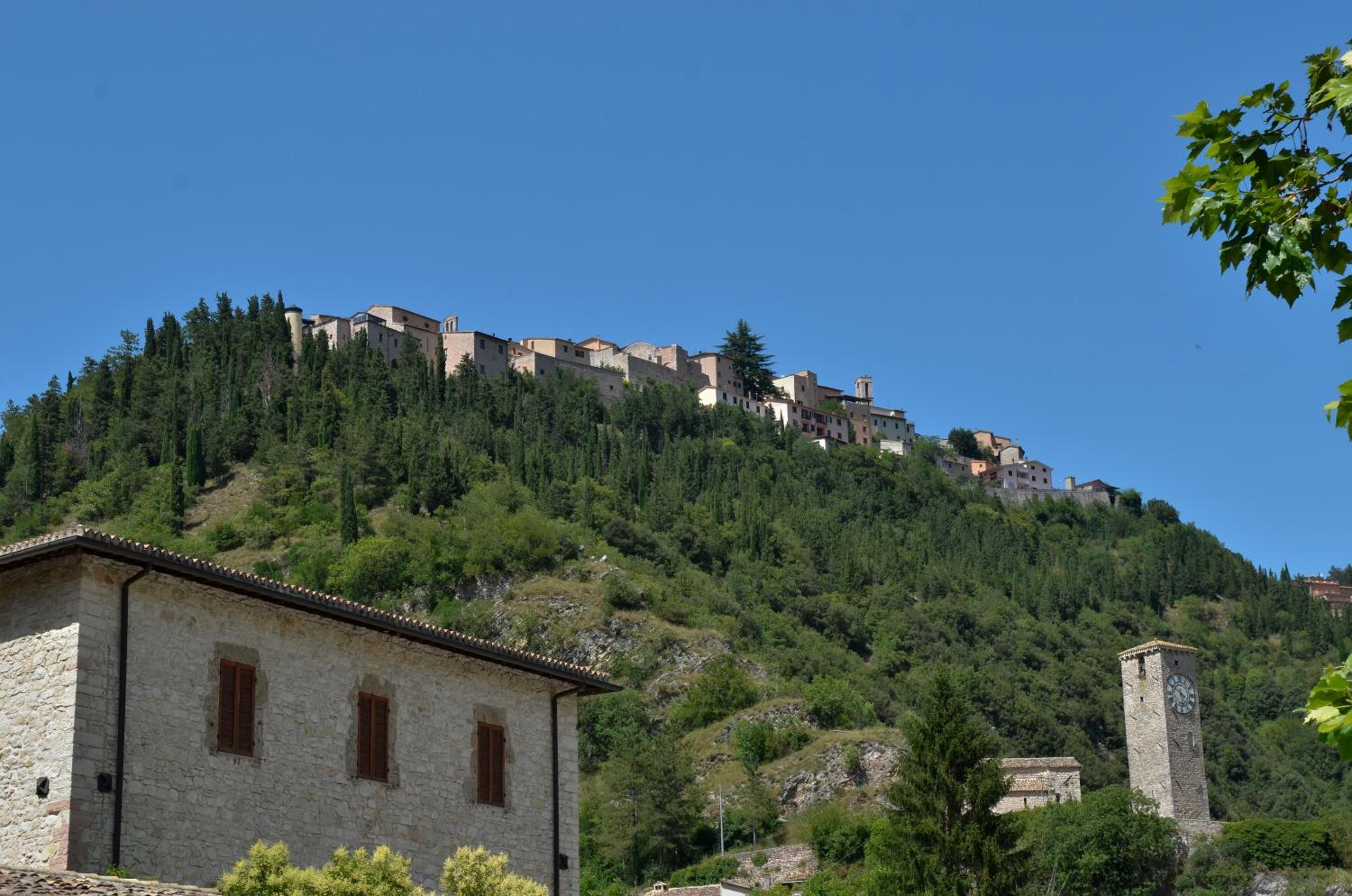 Photo 25