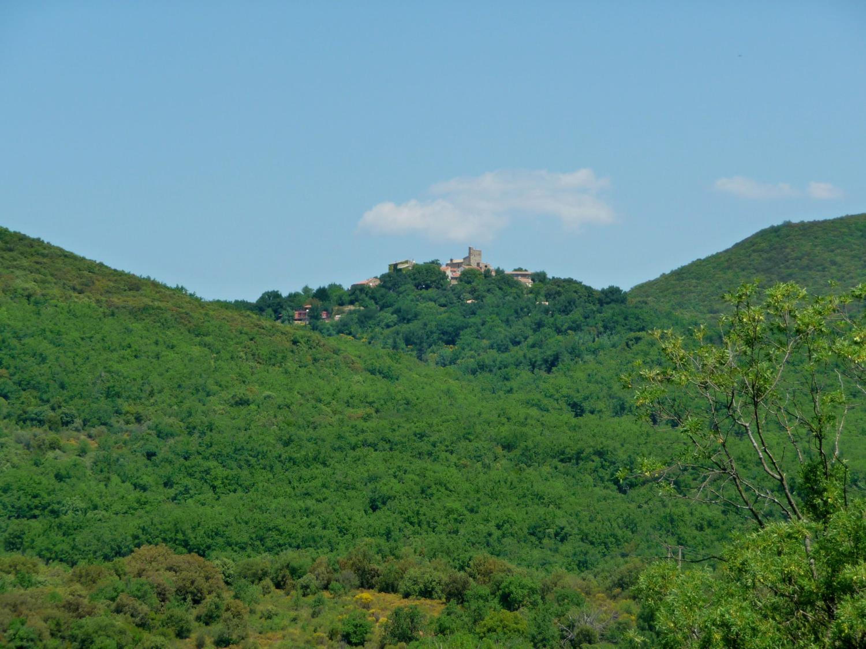 Photo 12