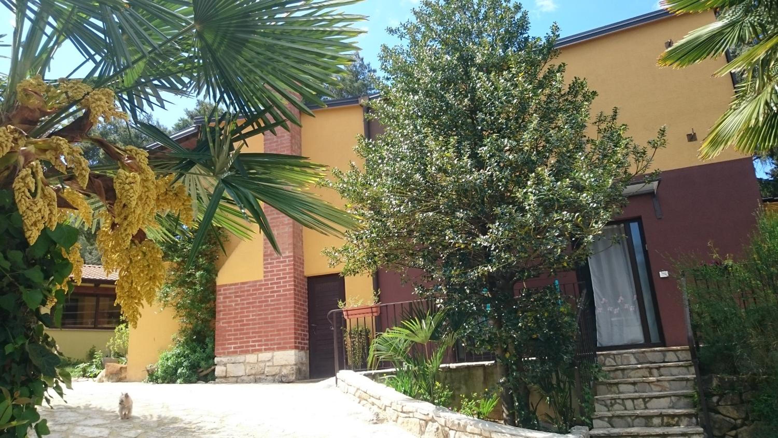 Photo 25