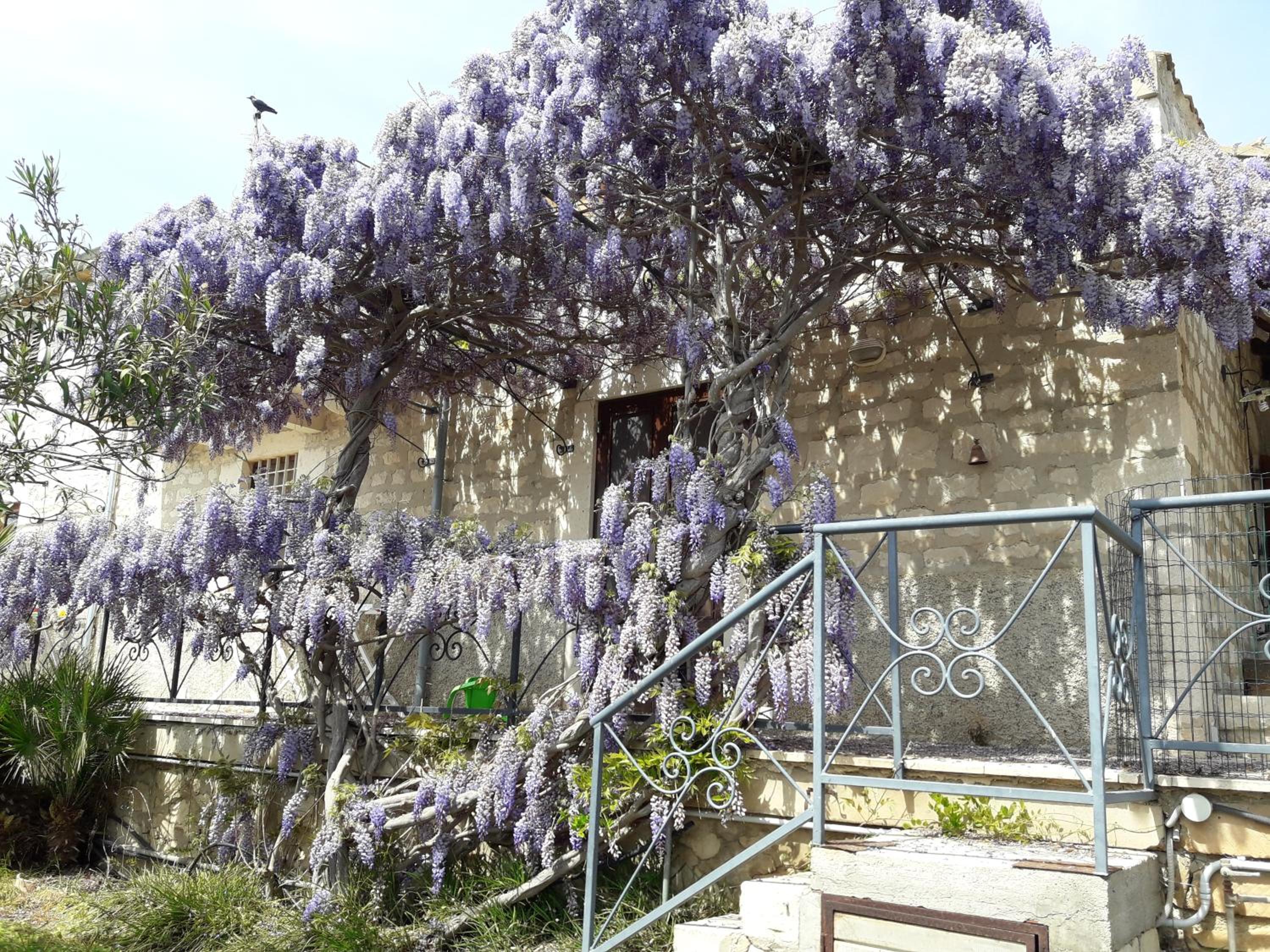Photo 13