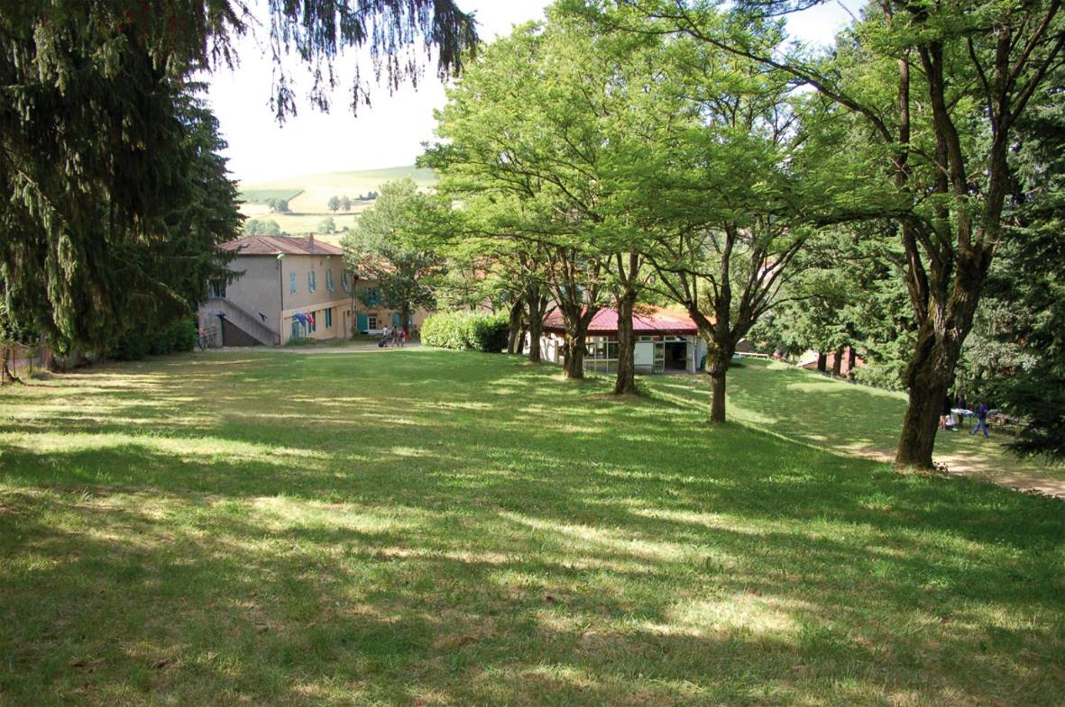 Photo 45