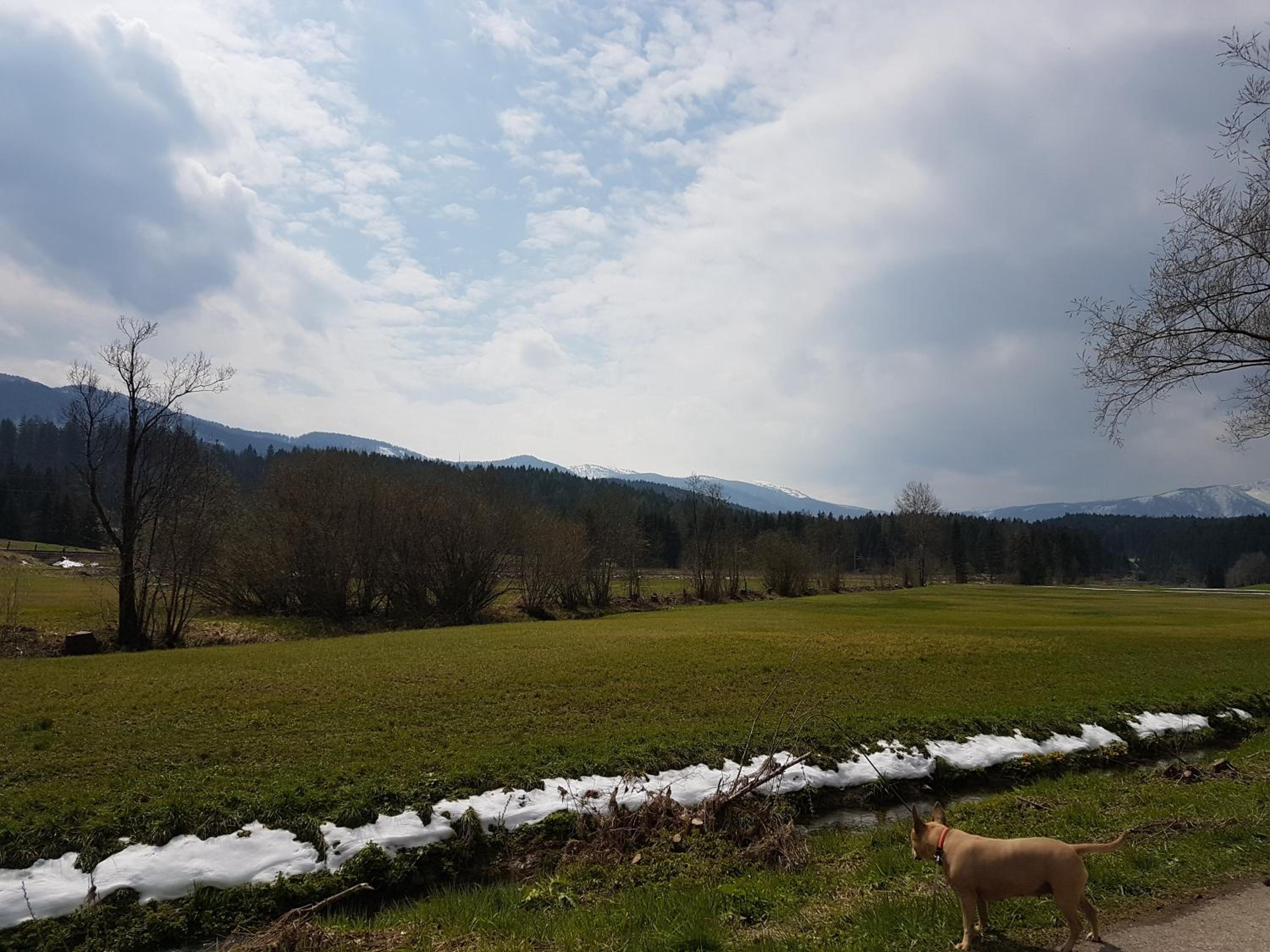 Nina´s Appartement Bad Mitterndorf