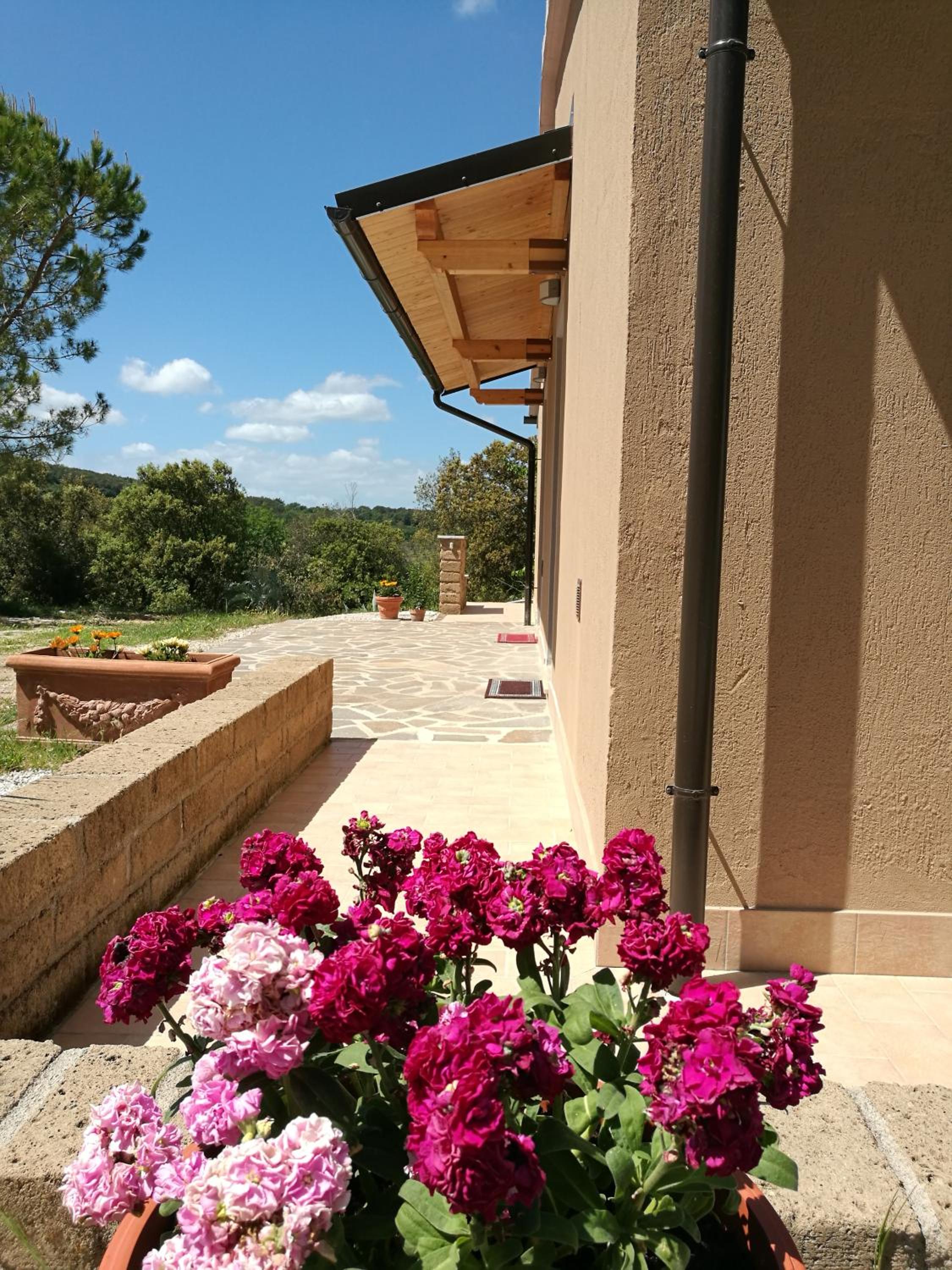 Sonnellino in Maremma photo 4