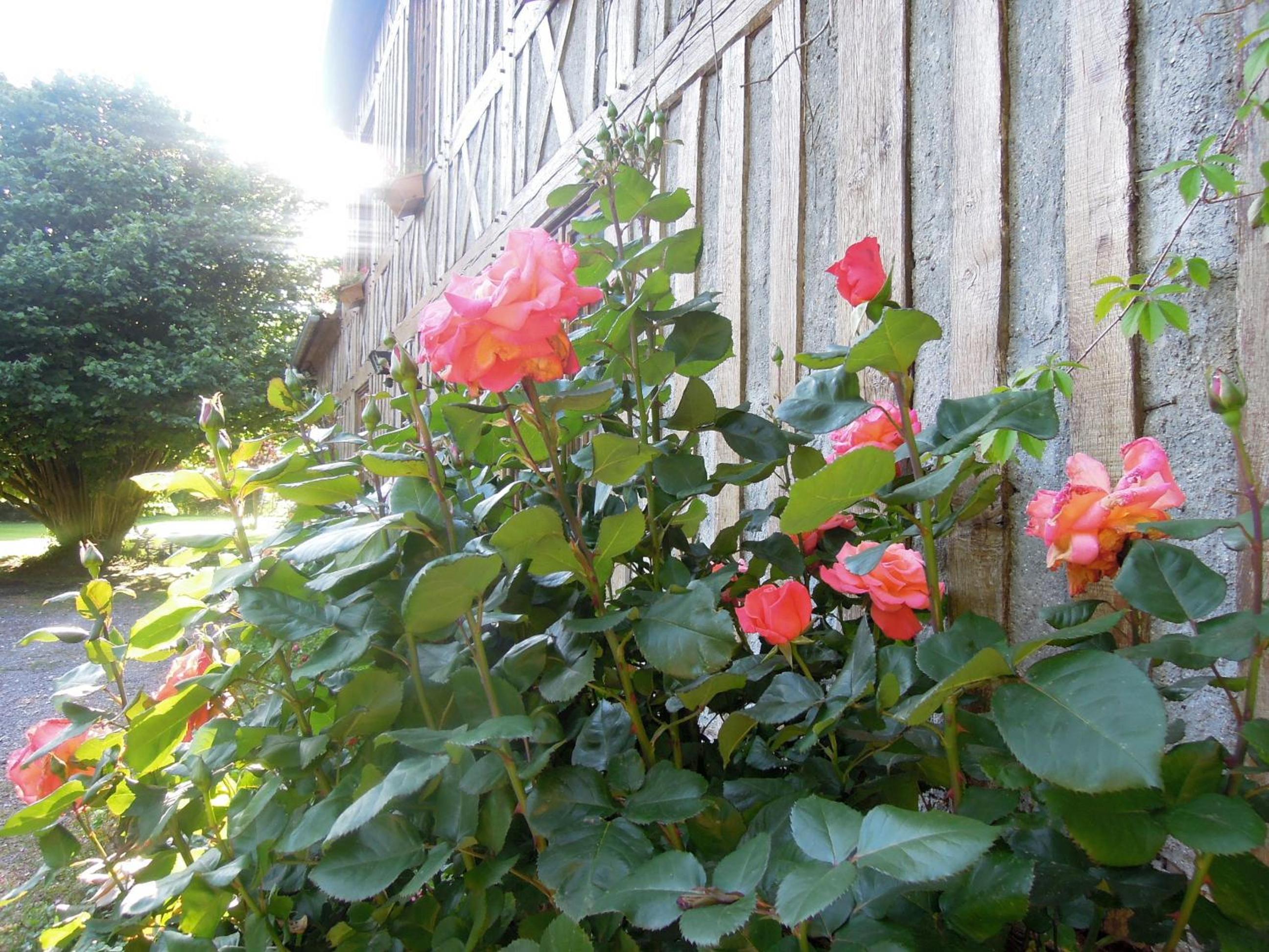 Photo 20