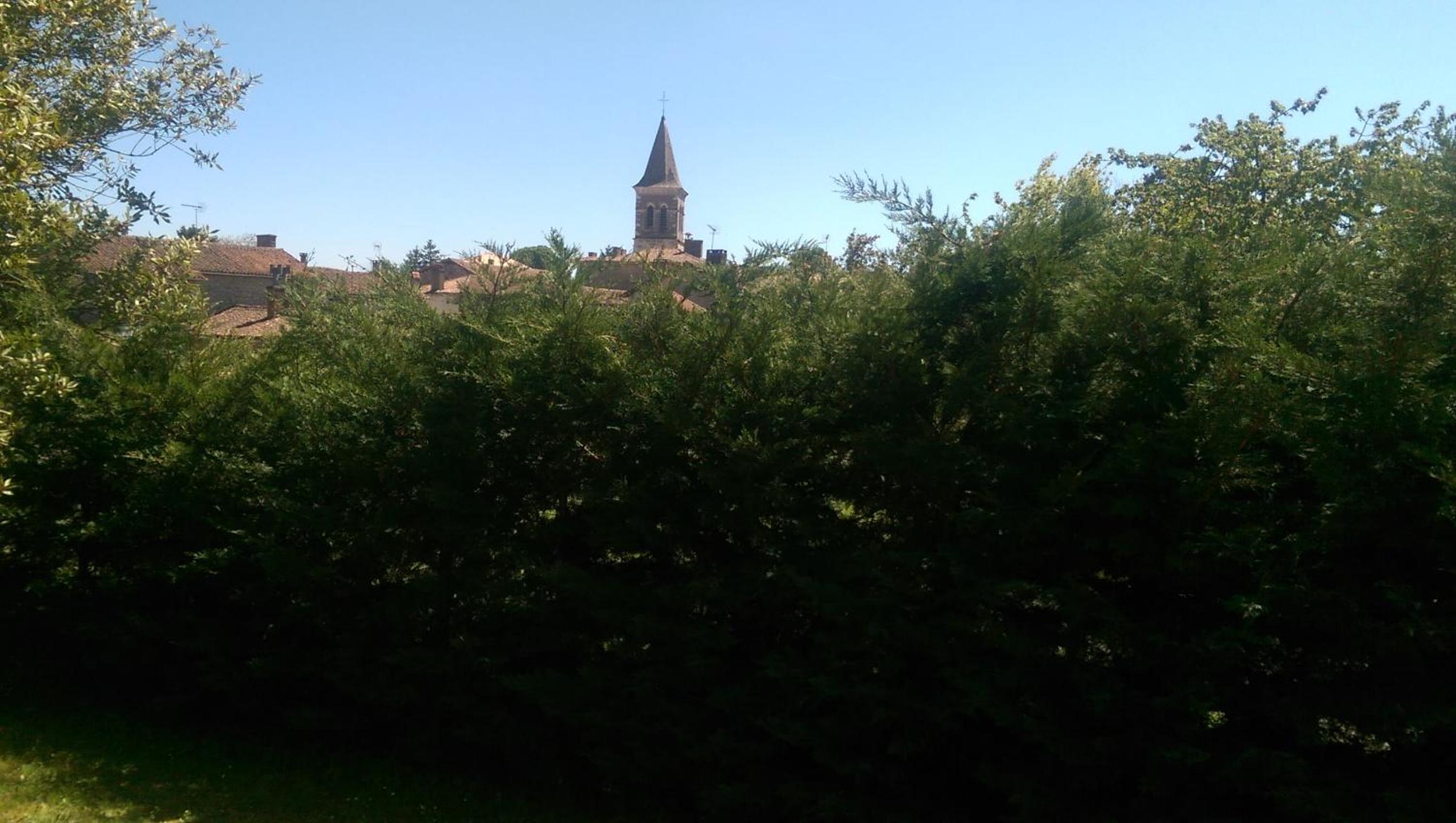 Photo 35