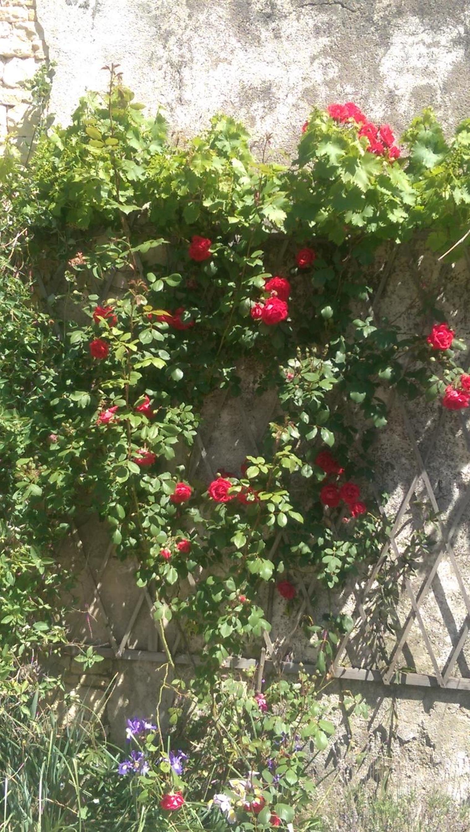 Photo 26