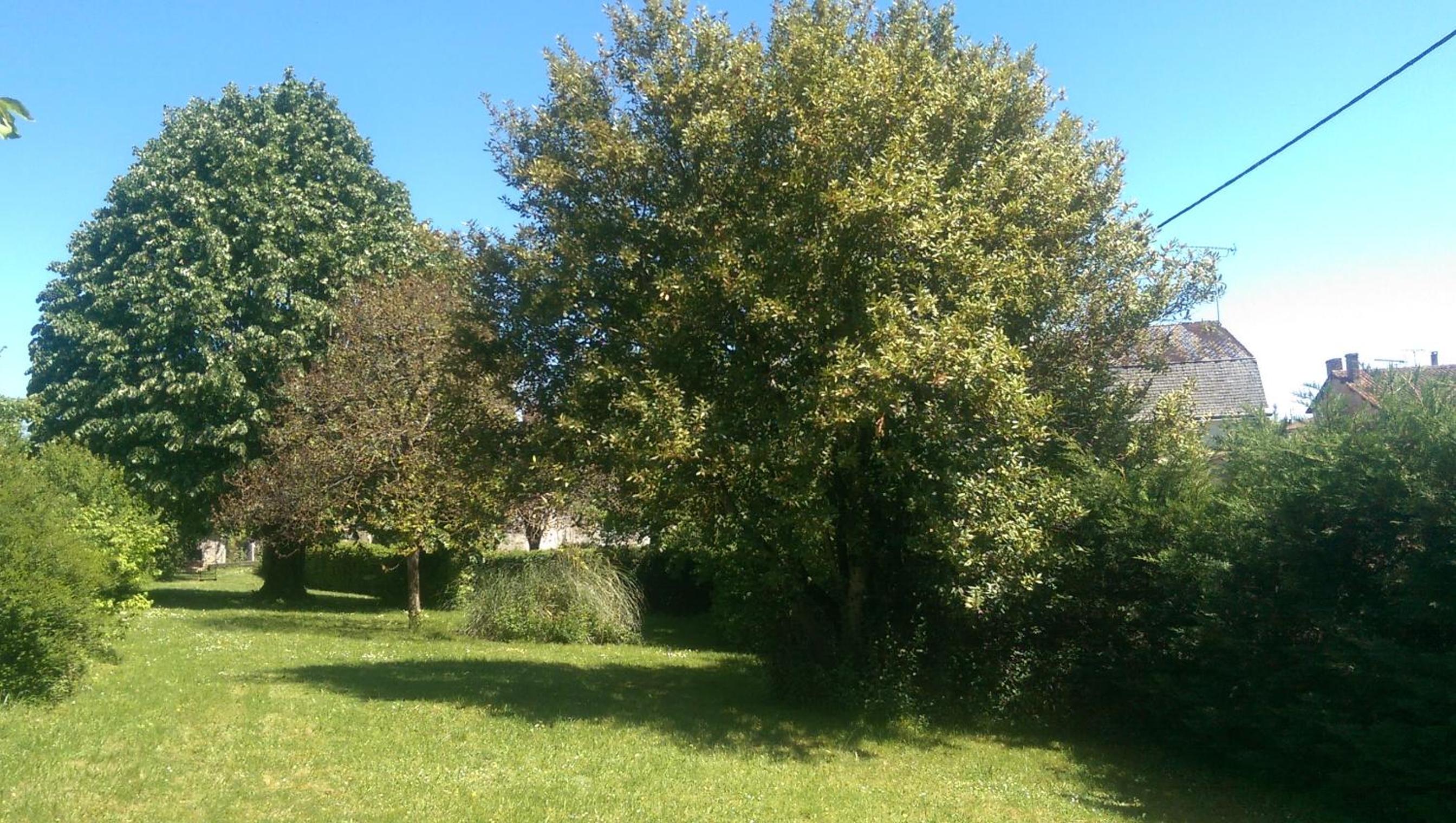 Photo 34